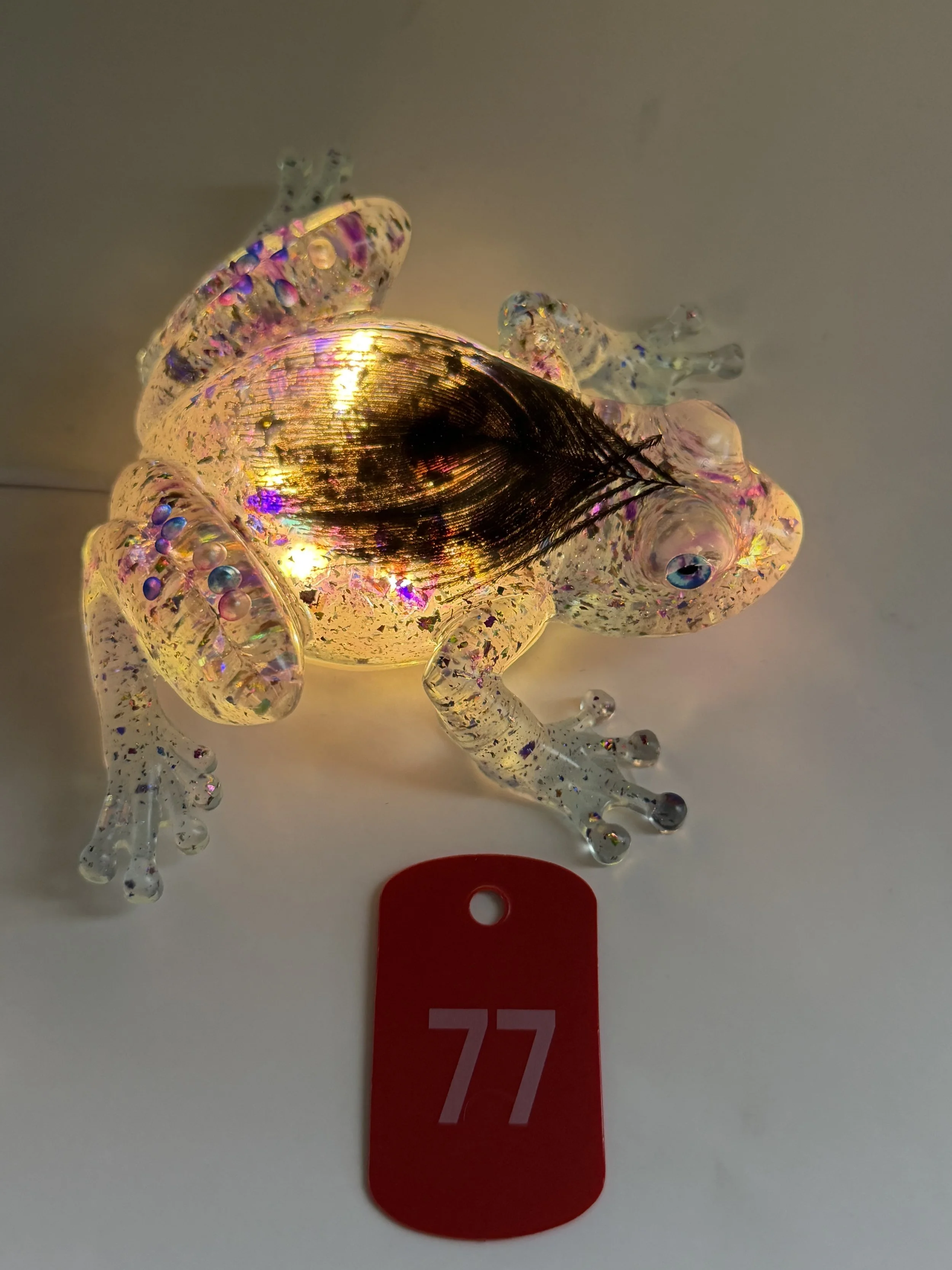 image6.jpeg