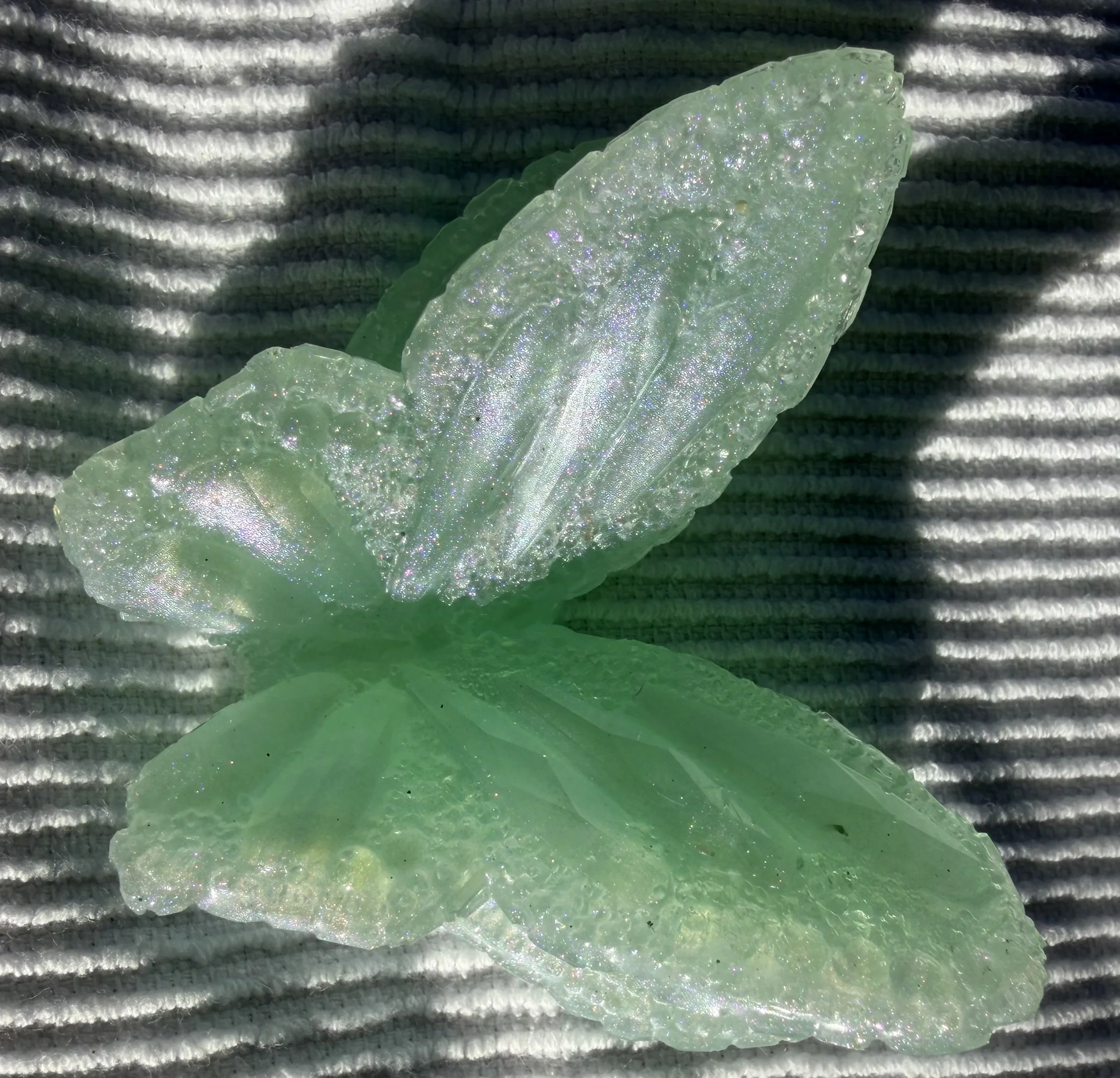 image1.jpeg