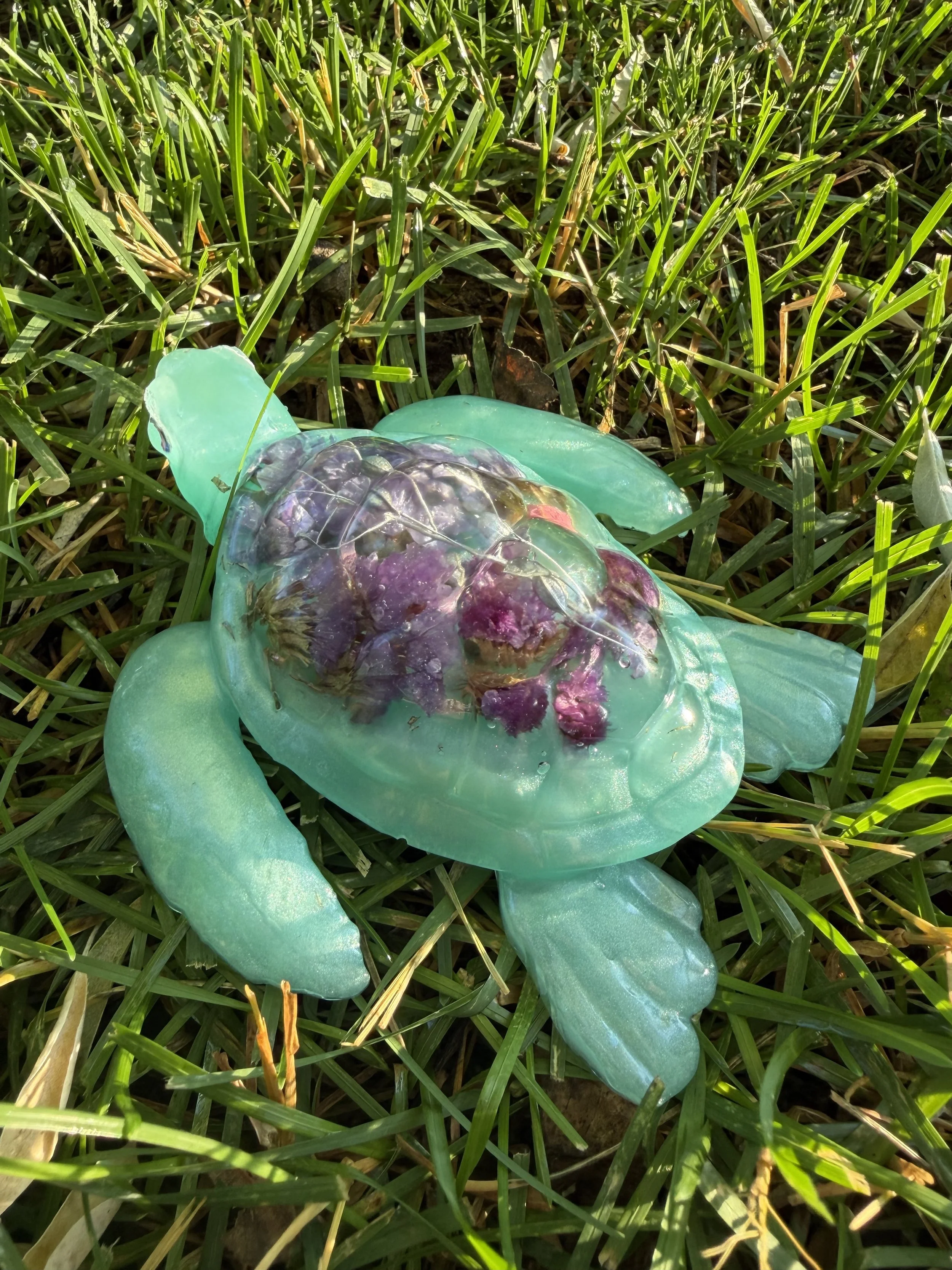 image3 (4).jpeg