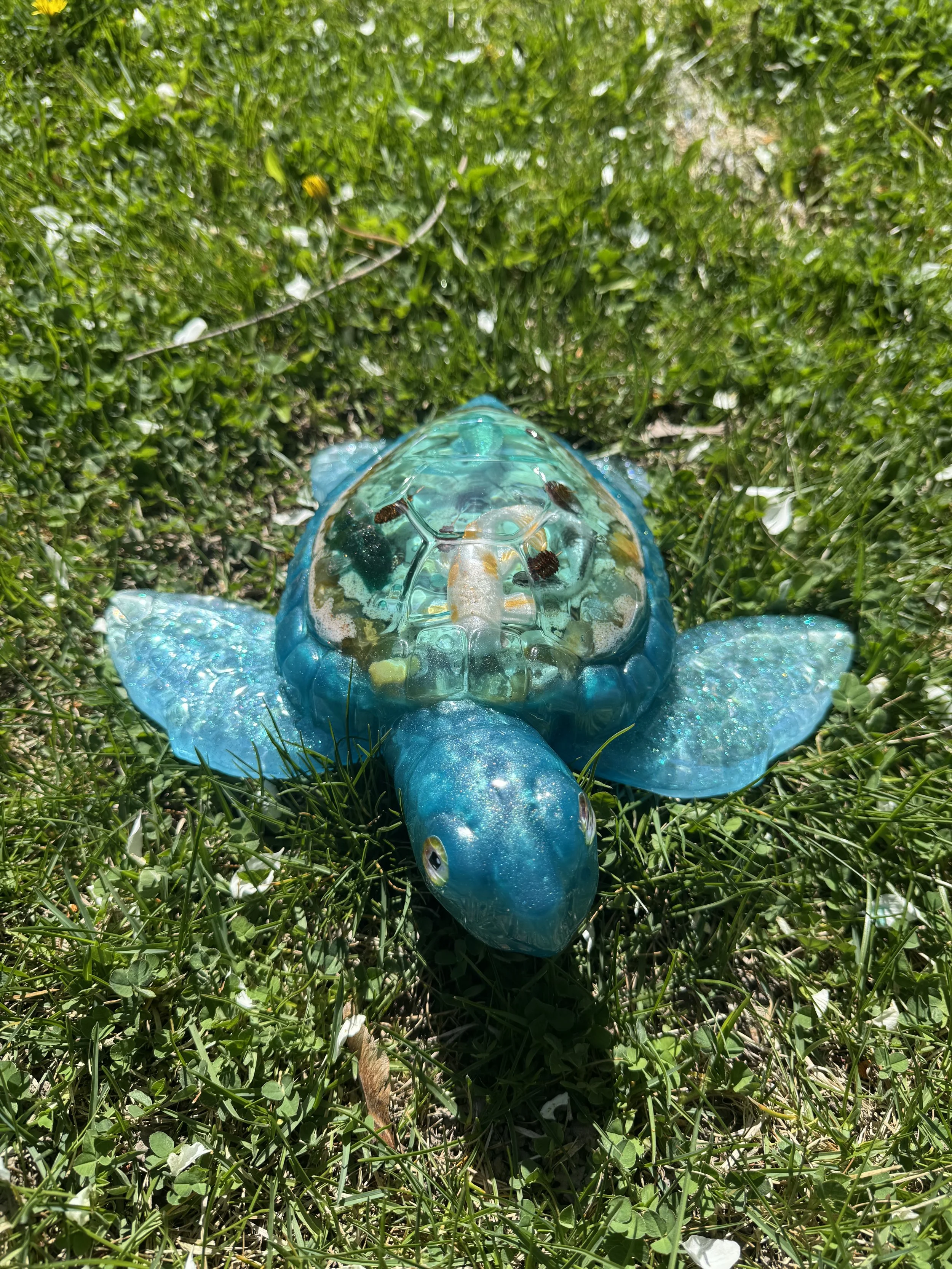 image5.jpeg