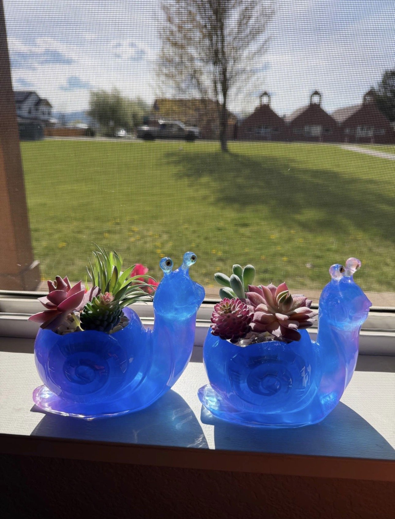 Resin Snail Planter Duo - Set of 2