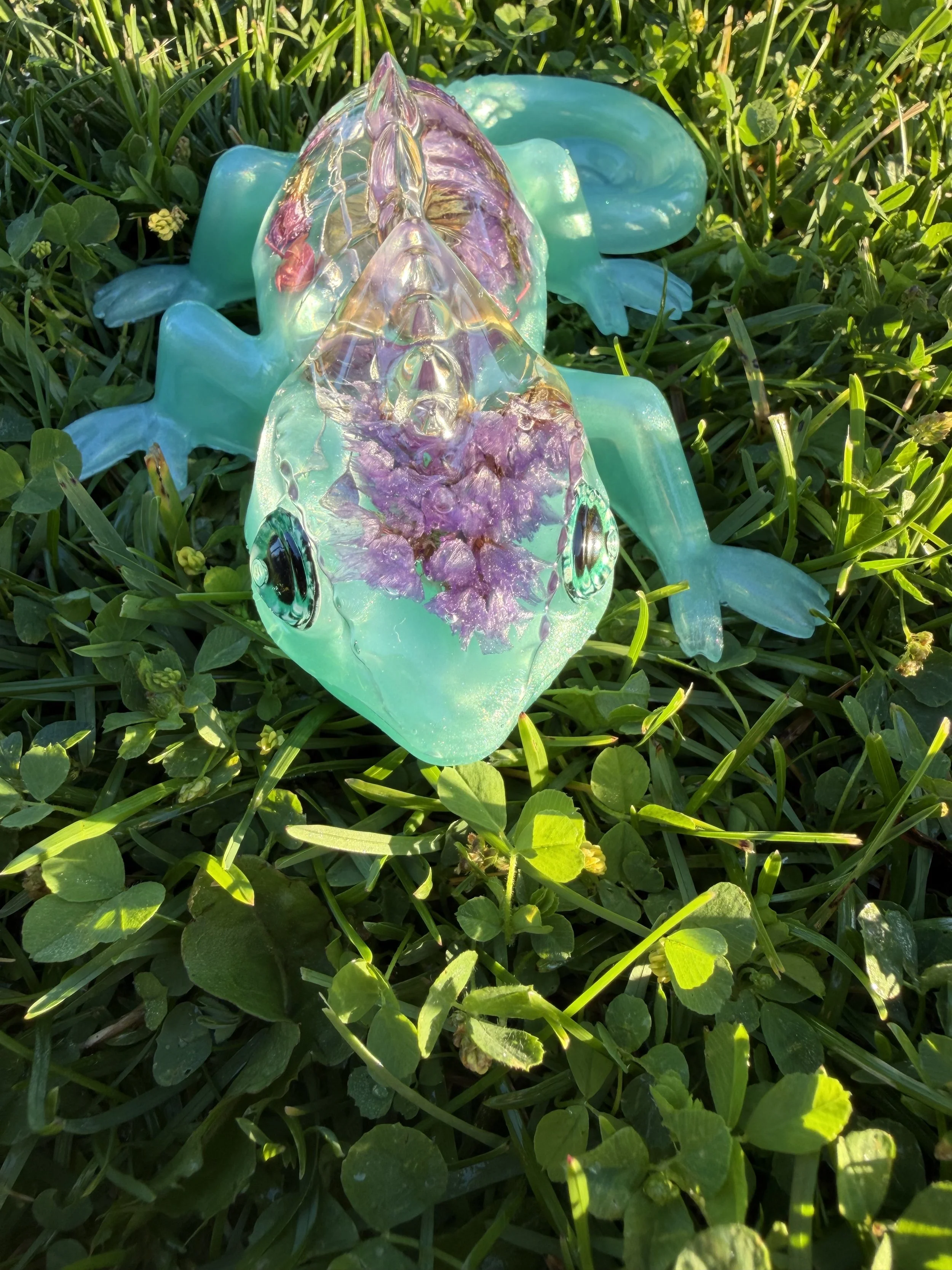 image6 (1).jpeg