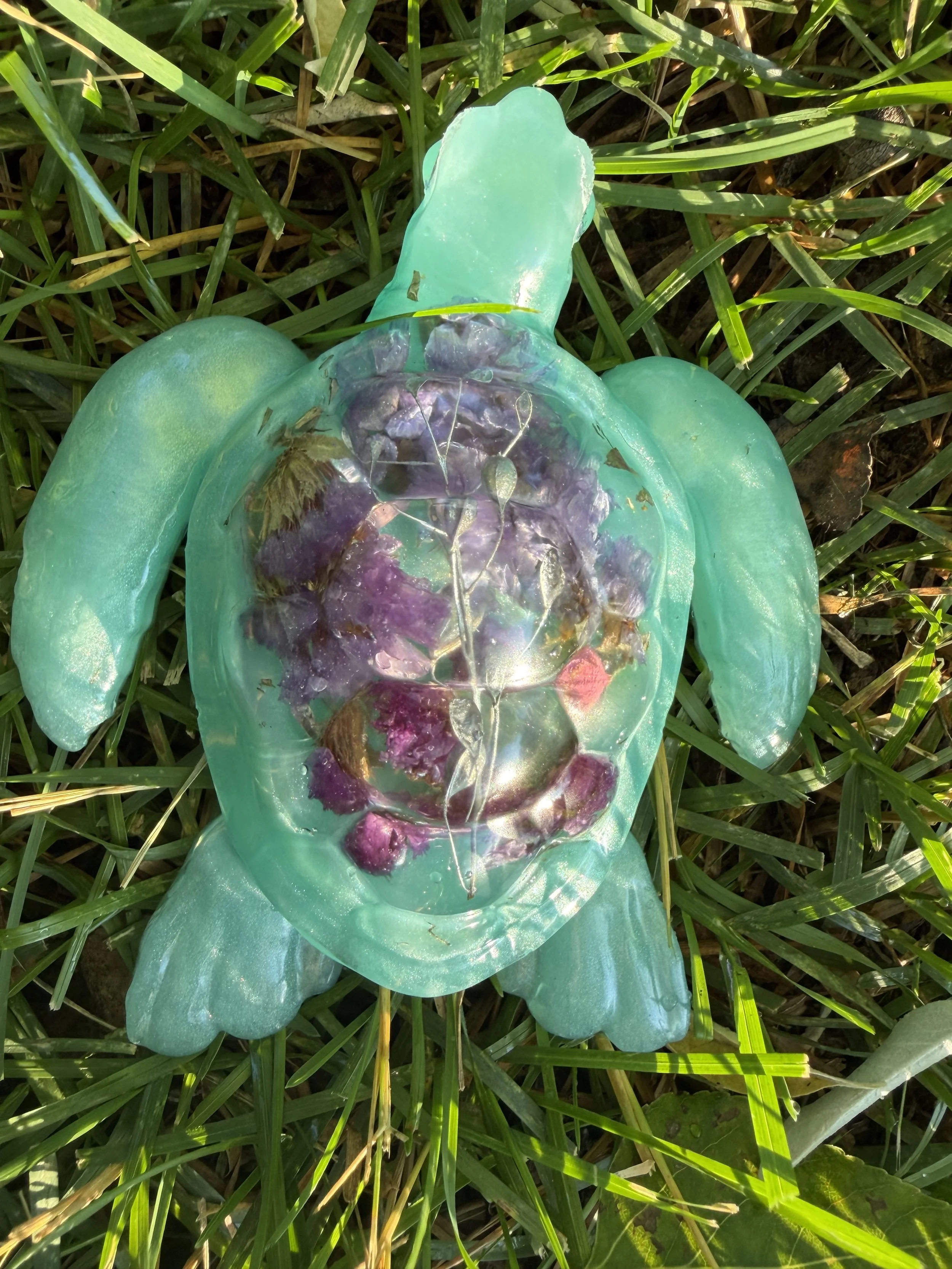 image2 (4).jpeg