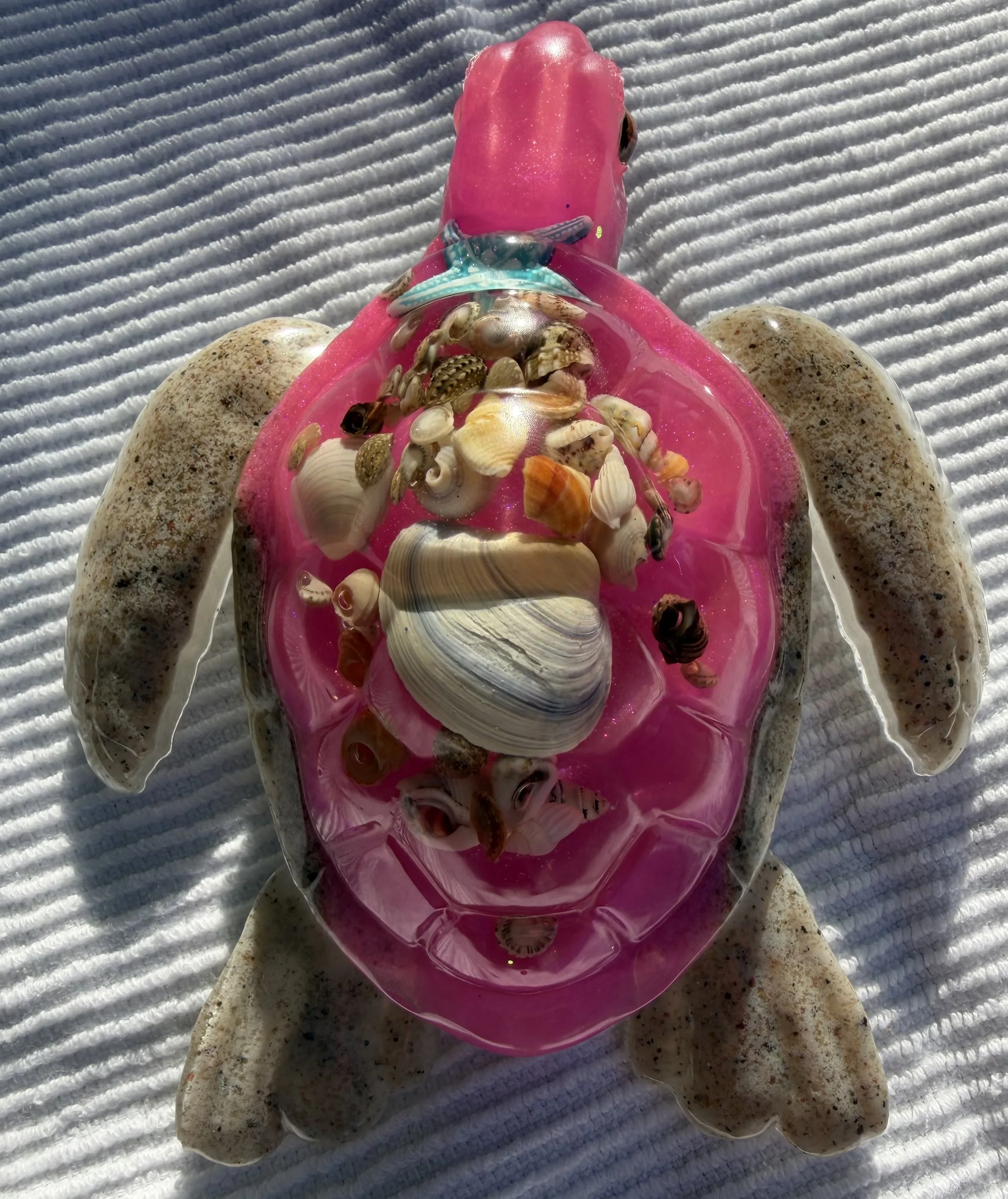 image0 (3).jpeg