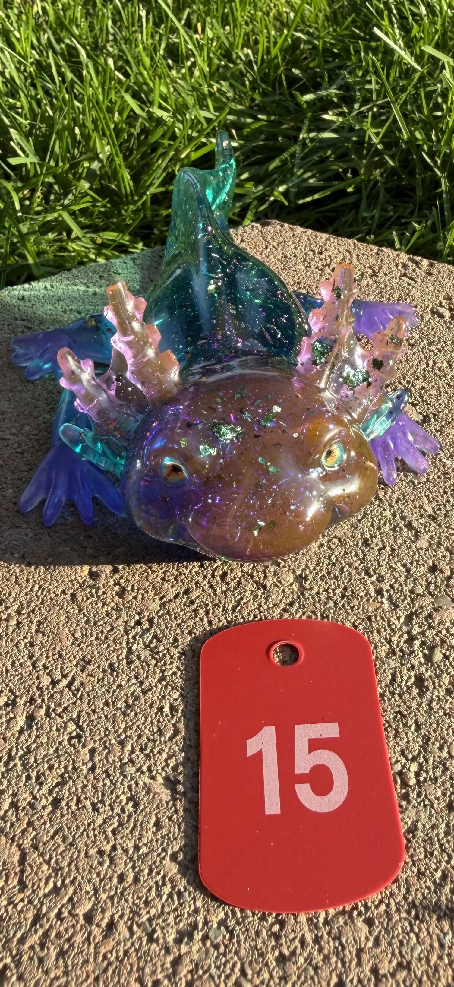 image3.jpeg