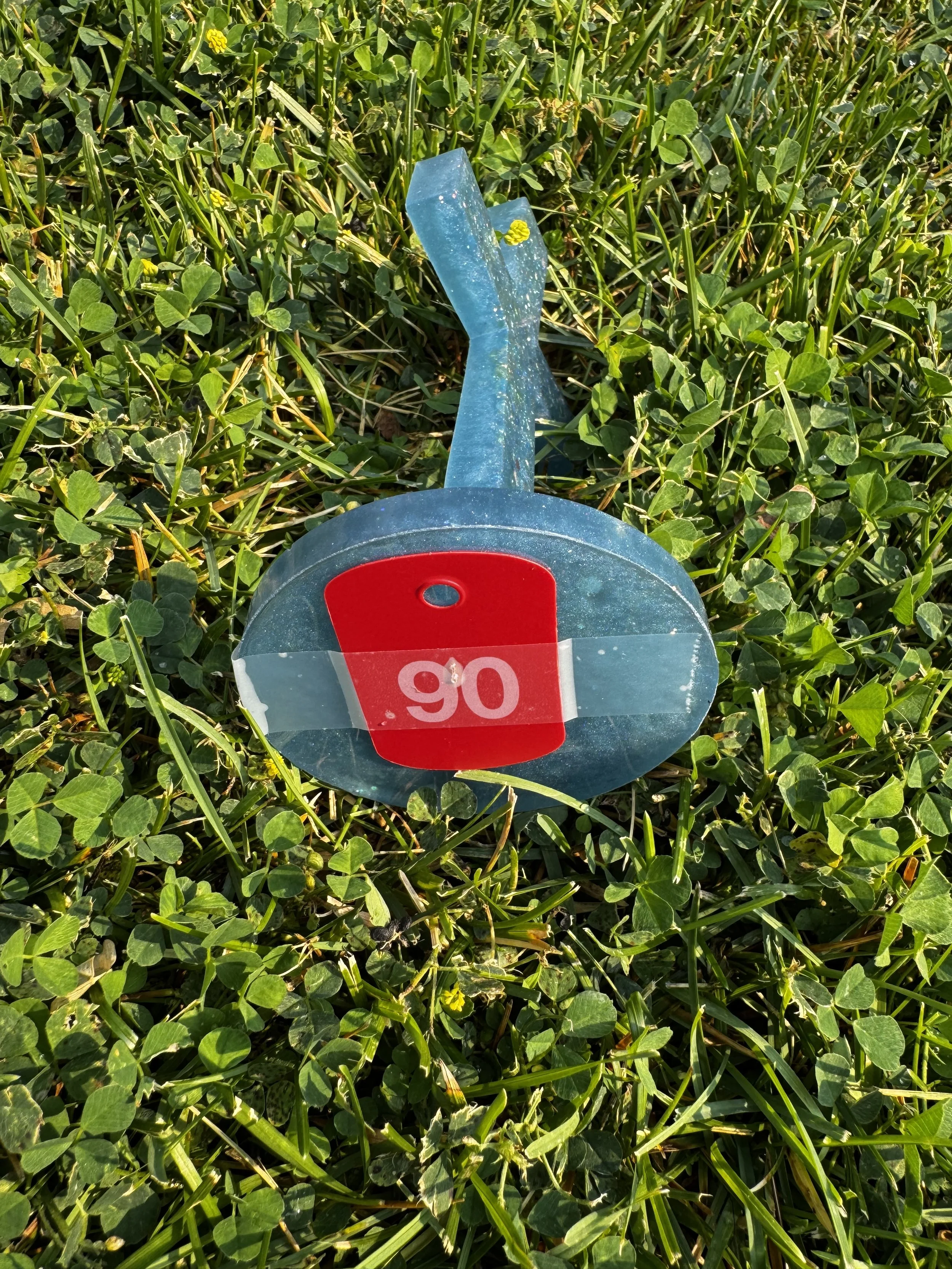 image5.jpeg