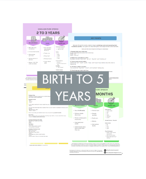 Comprehensive Parent Coaching Guide - The Key to Language Success (ages 0-5)