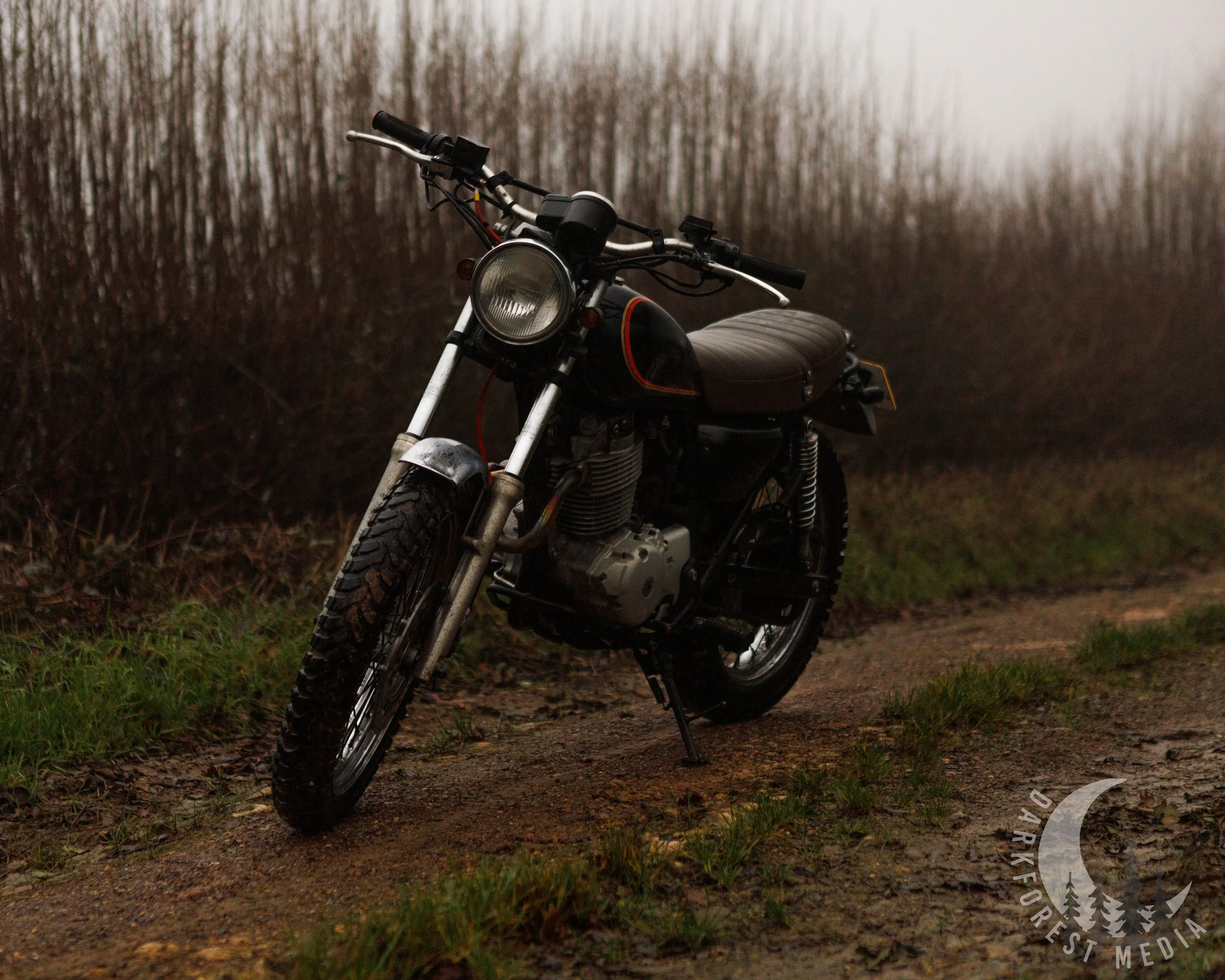 A motorcycle parked on a dirt path with grass on the ground, with a background of tall, thin, leafless trees under an overcast sky.