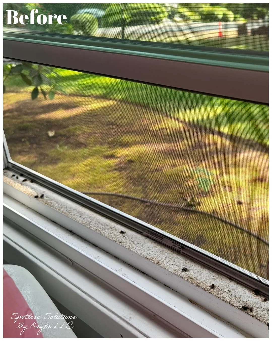 Clean windows, clear mind. ✨

#windowcleaning #springcleaning #cleaner