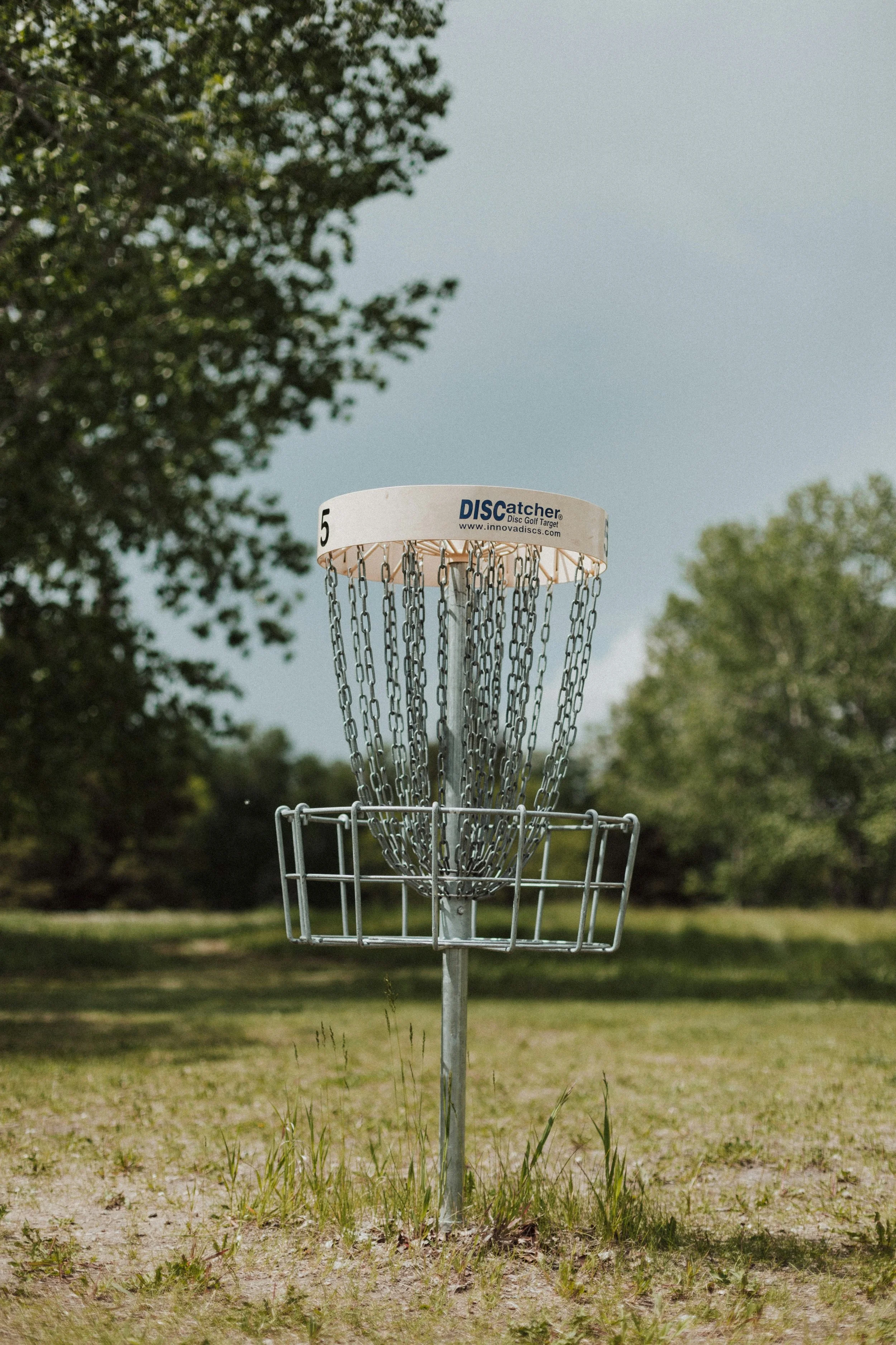 Disc Golf (FULLY BOOKEd)