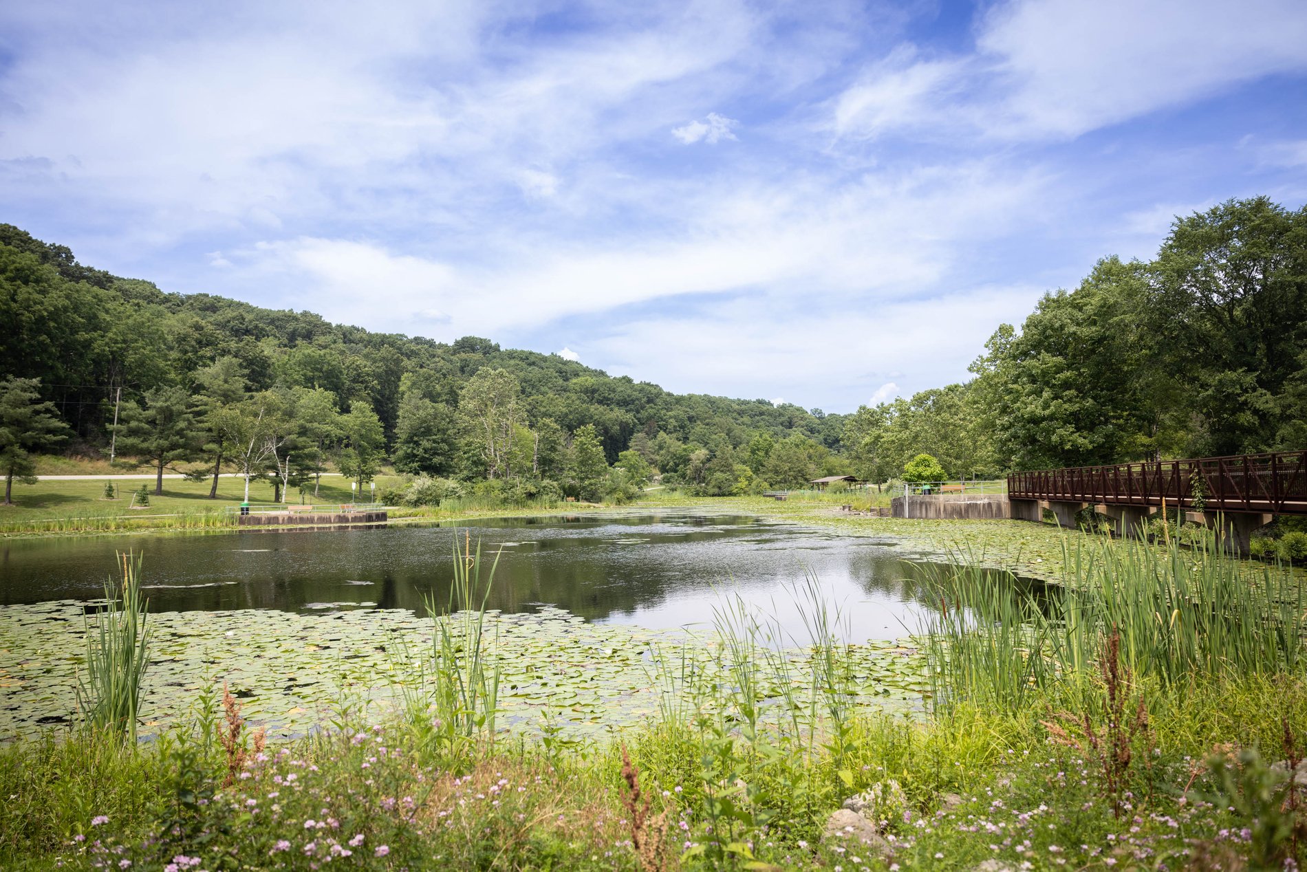 Guided Nature Hike 