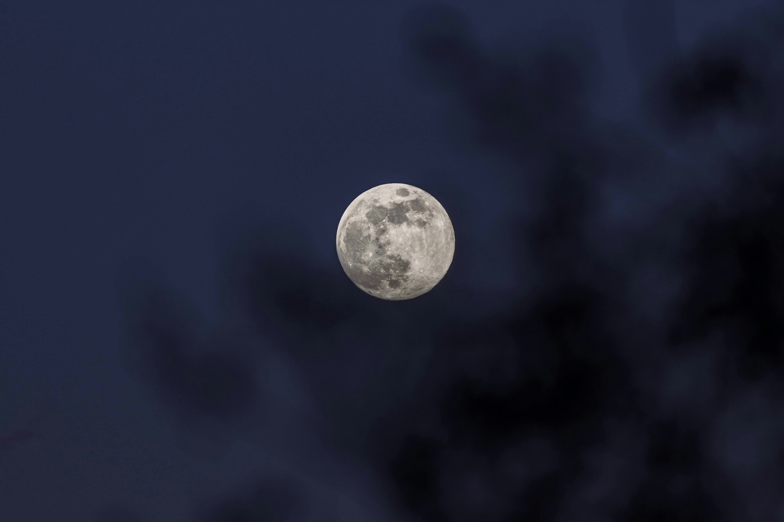 Full Moon Forest Bathing 