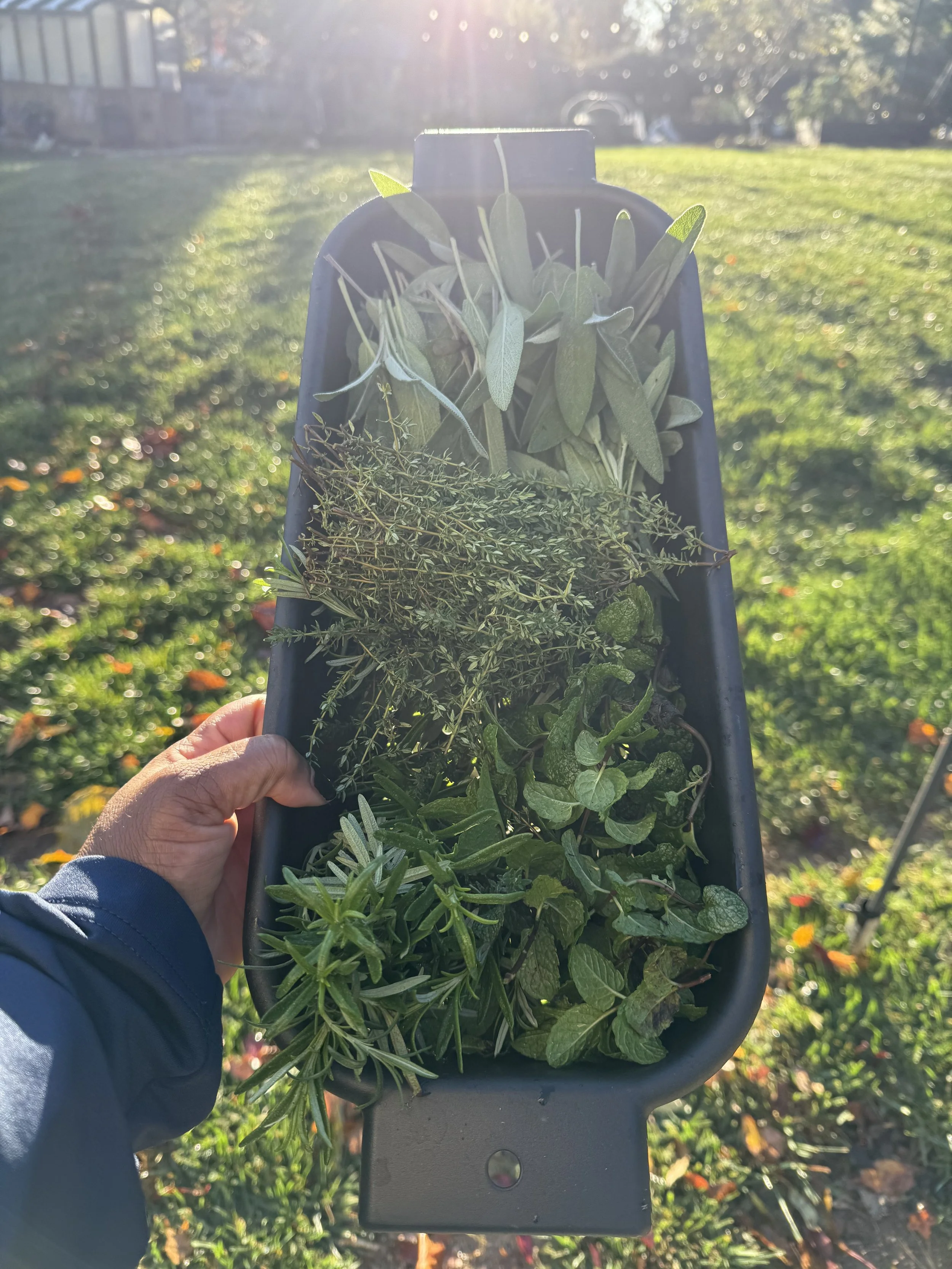 Handcrafted Herbs