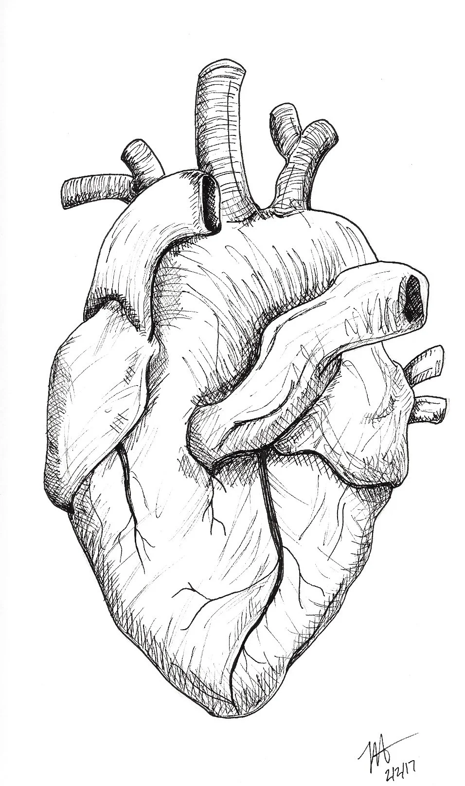 Heart.jpg