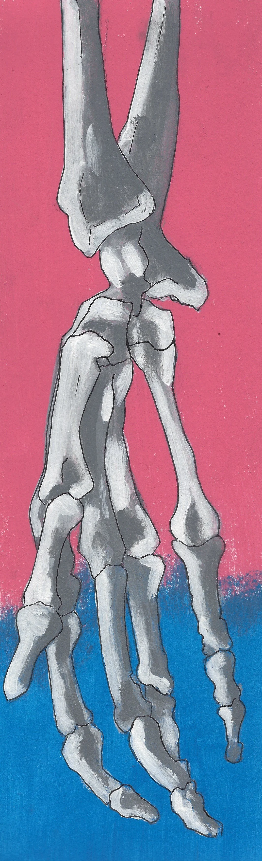 Skeleton Hand Study.jpeg