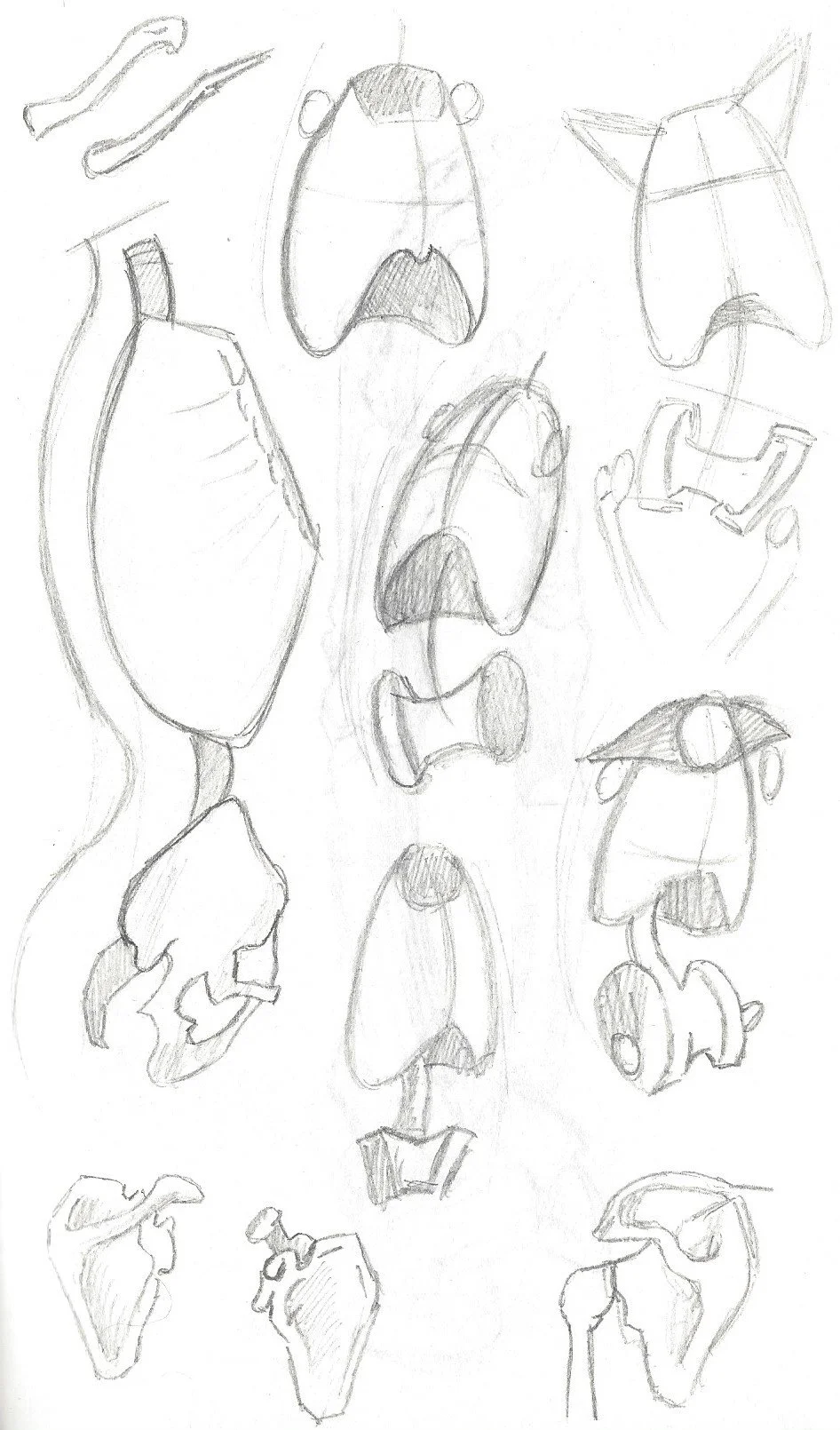 Skeletal Torso Sketches.jpeg