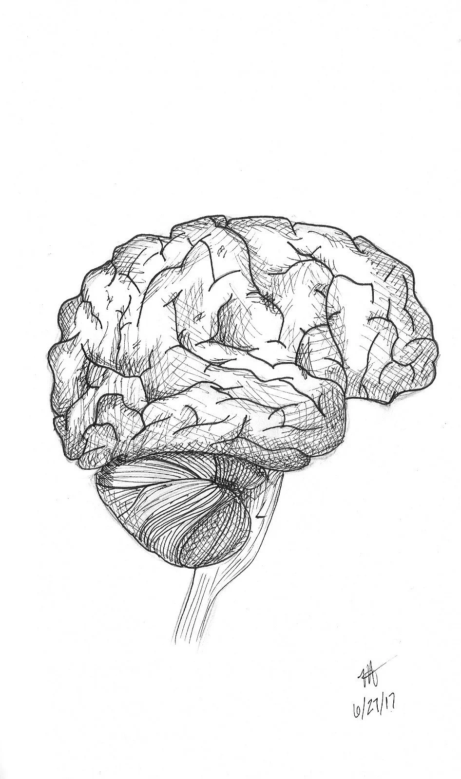 Brain Sketch.jpg