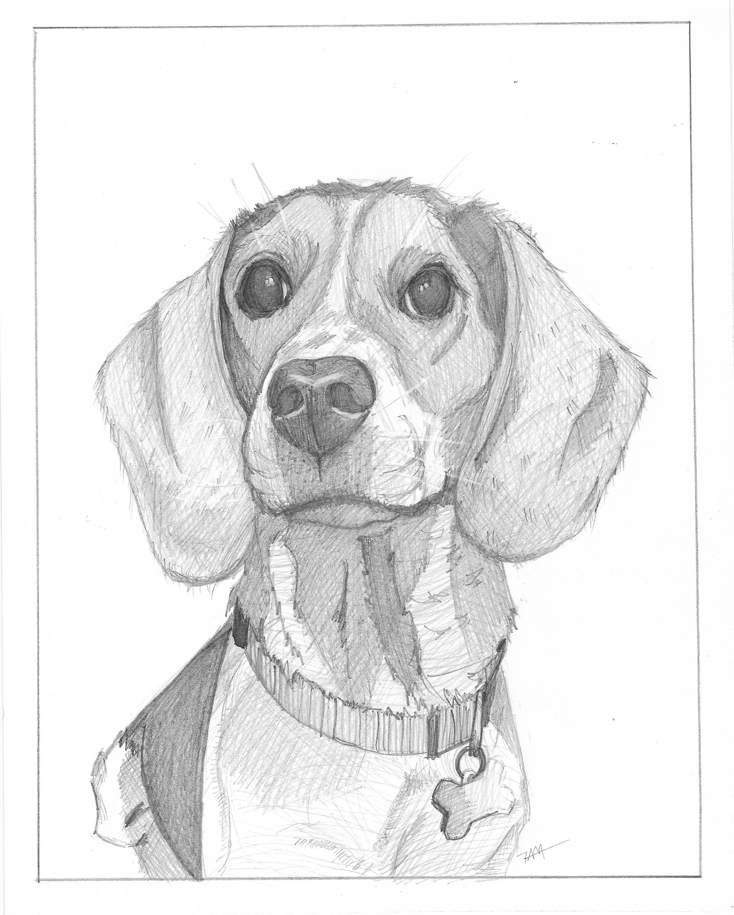 Steph's_BF's_Dog.jpeg