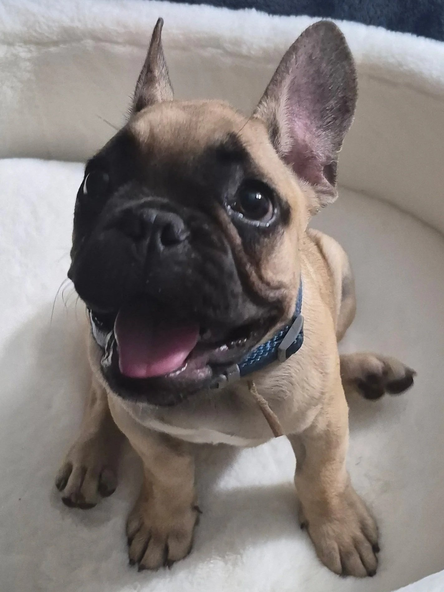 1000006323.jpg
