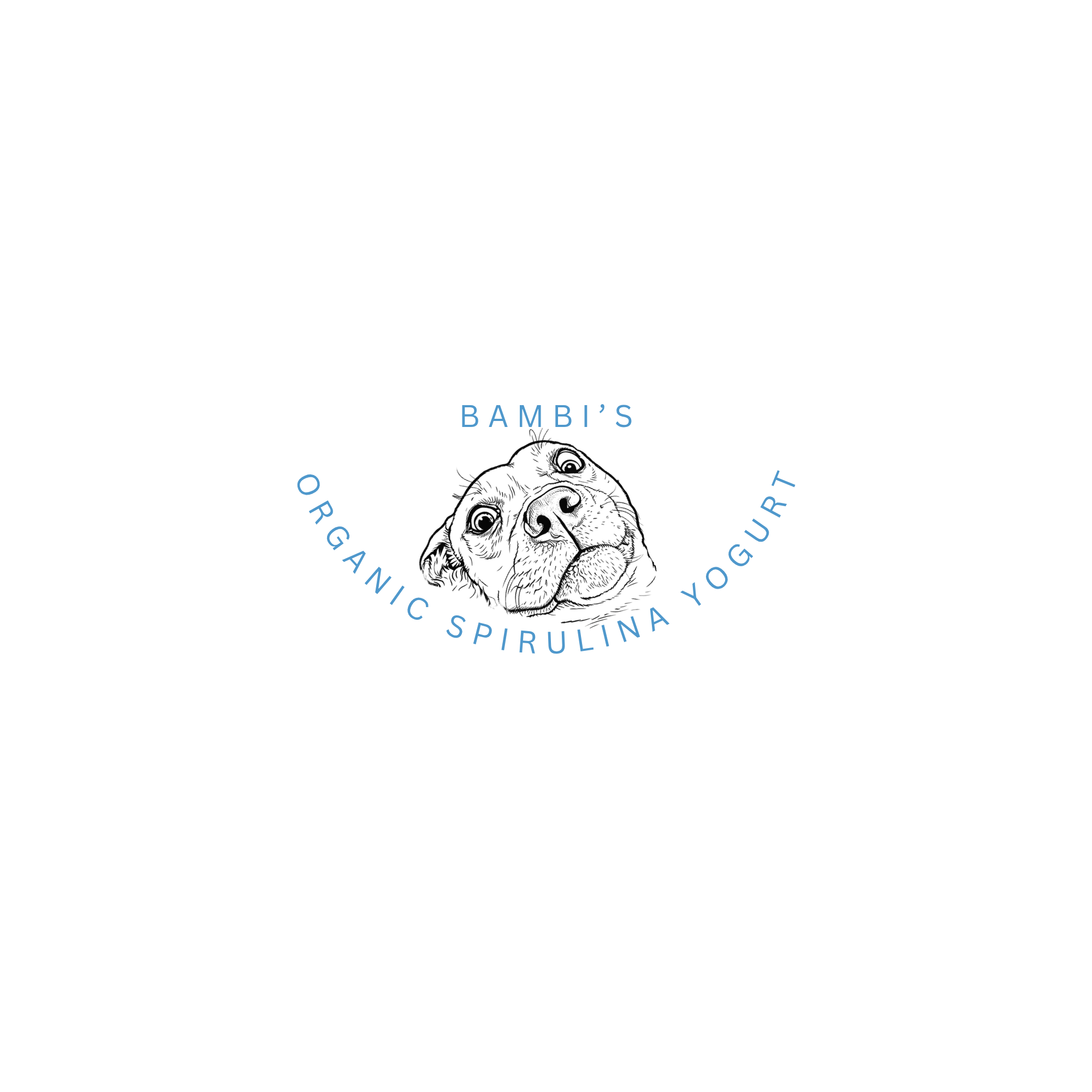 Bambi's Organic Chicken Bone Broth