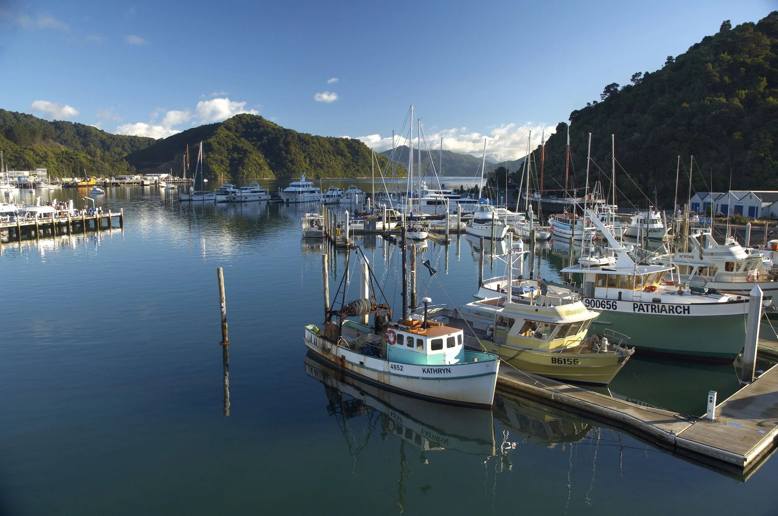A marina with numerous boats and yachts docked, surrounded by lush green mountains under a clear blue sky.
