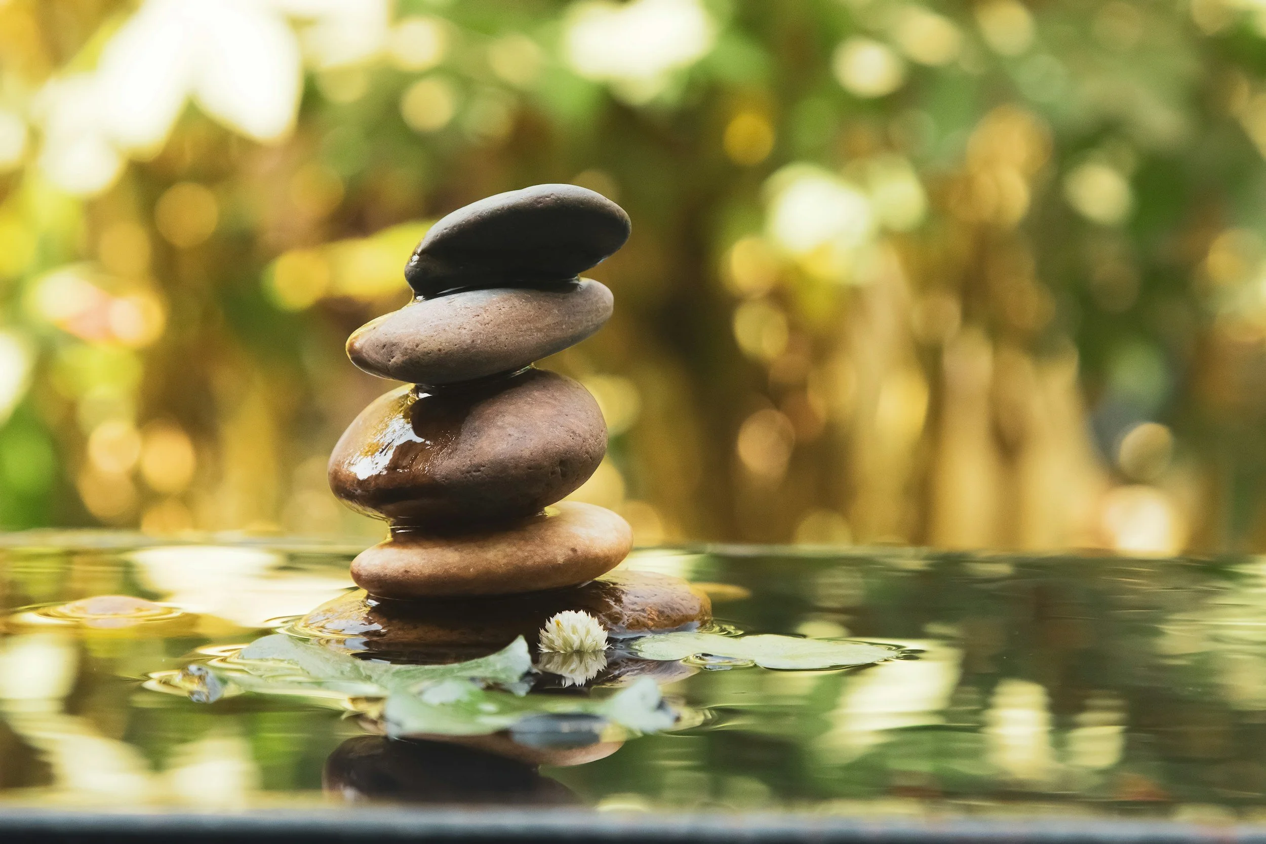 Stacked smooth stones in water with blurred green and yellow foliage in the background.