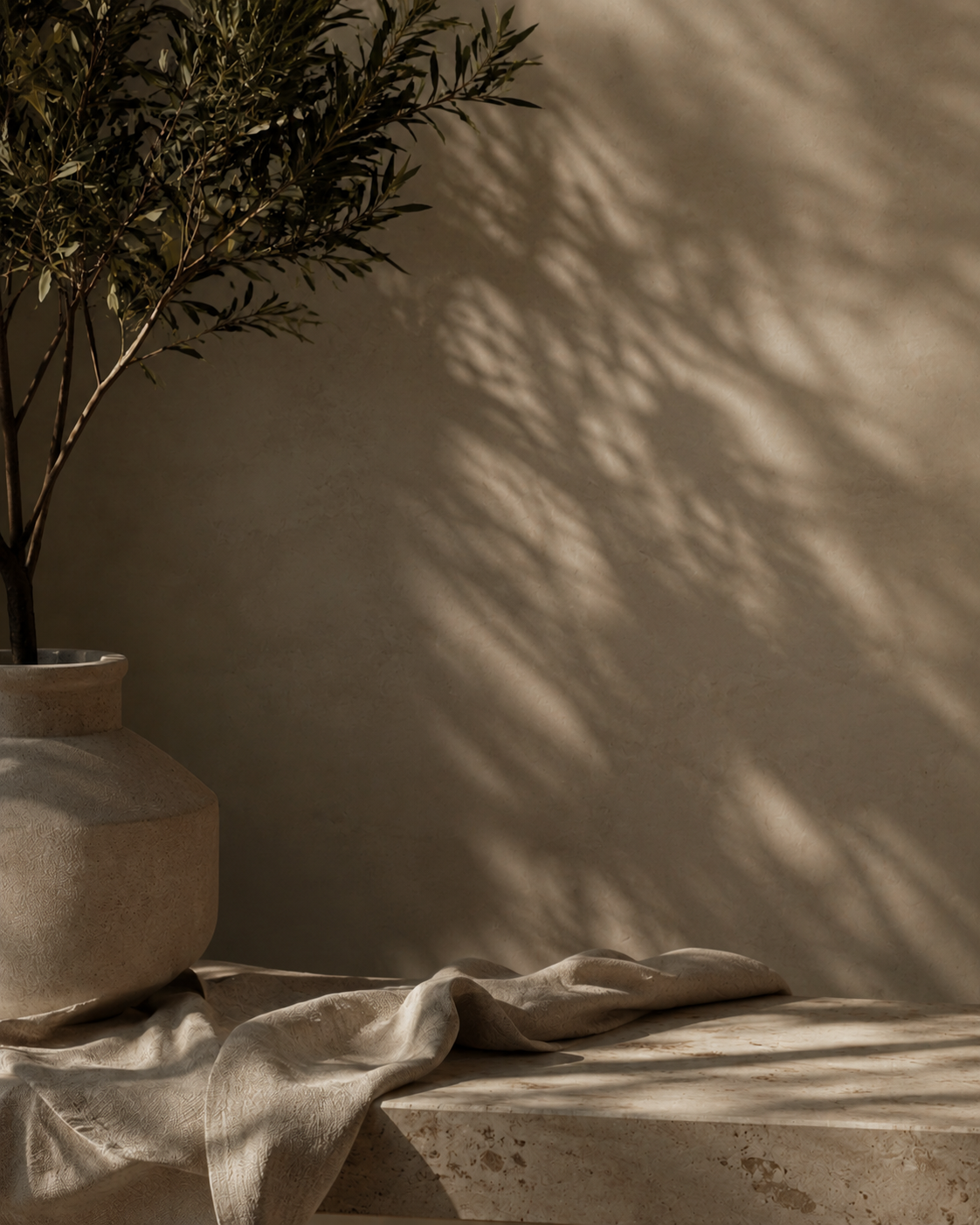 A potted plant with long, narrow leaves casting shadows on a neutral-colored wall, with a beige cloth draped over a marble surface.