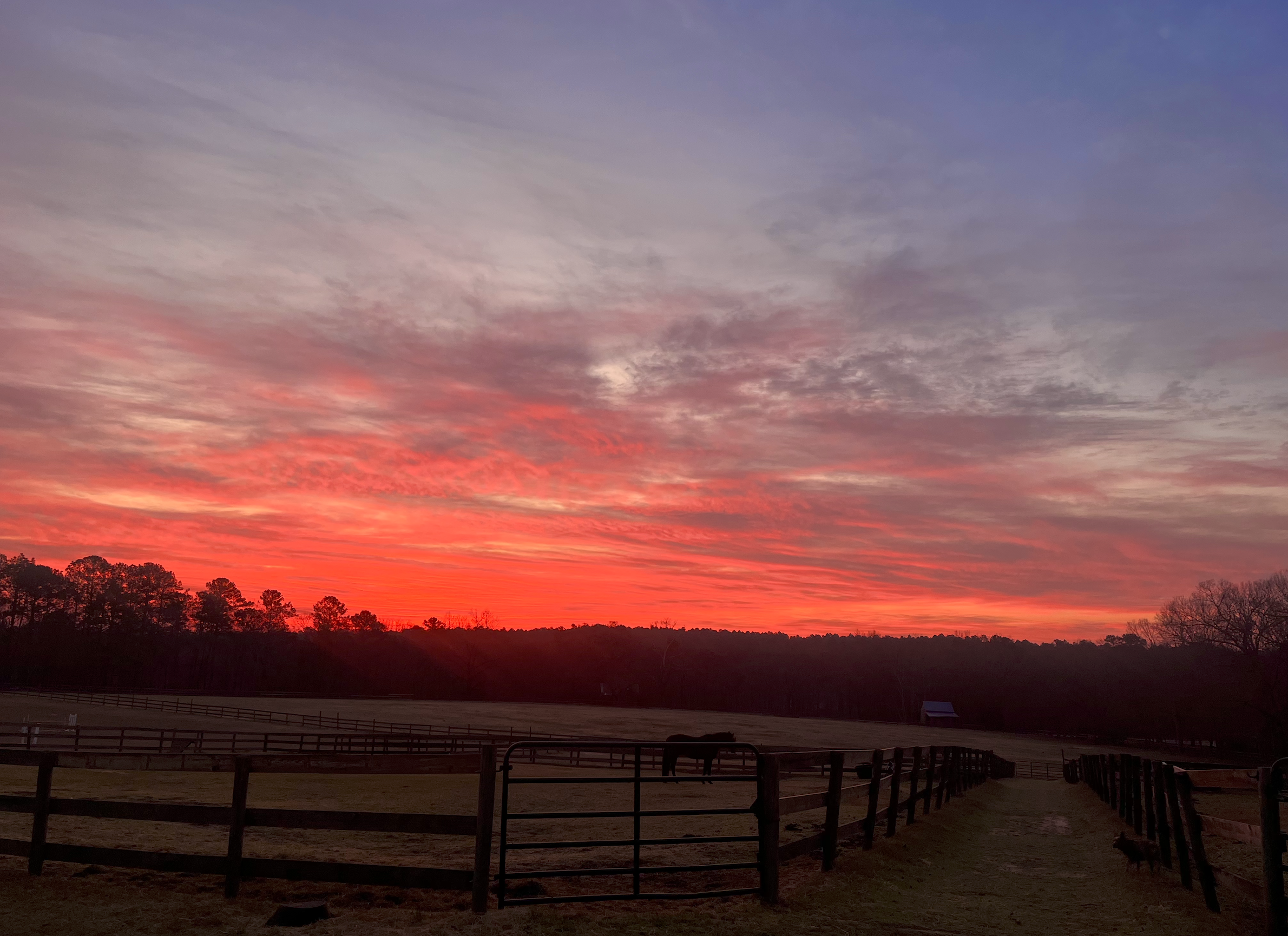Aiken Sunrise.png