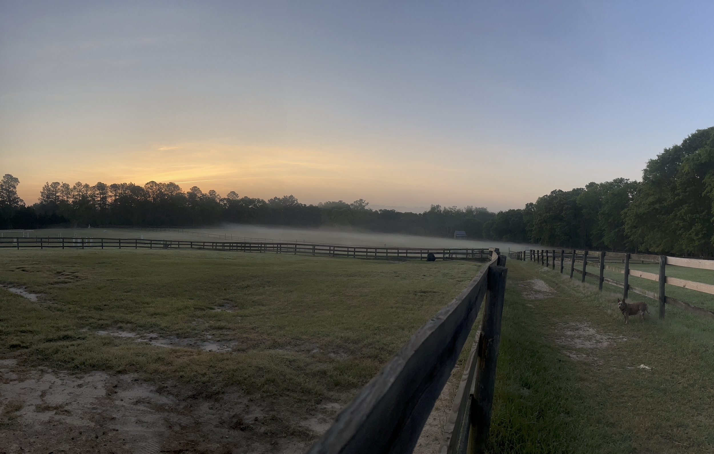 Aiken horse paddocks.png