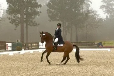 Equestrian riding a brown horse in an outdoor arena during a dressage event