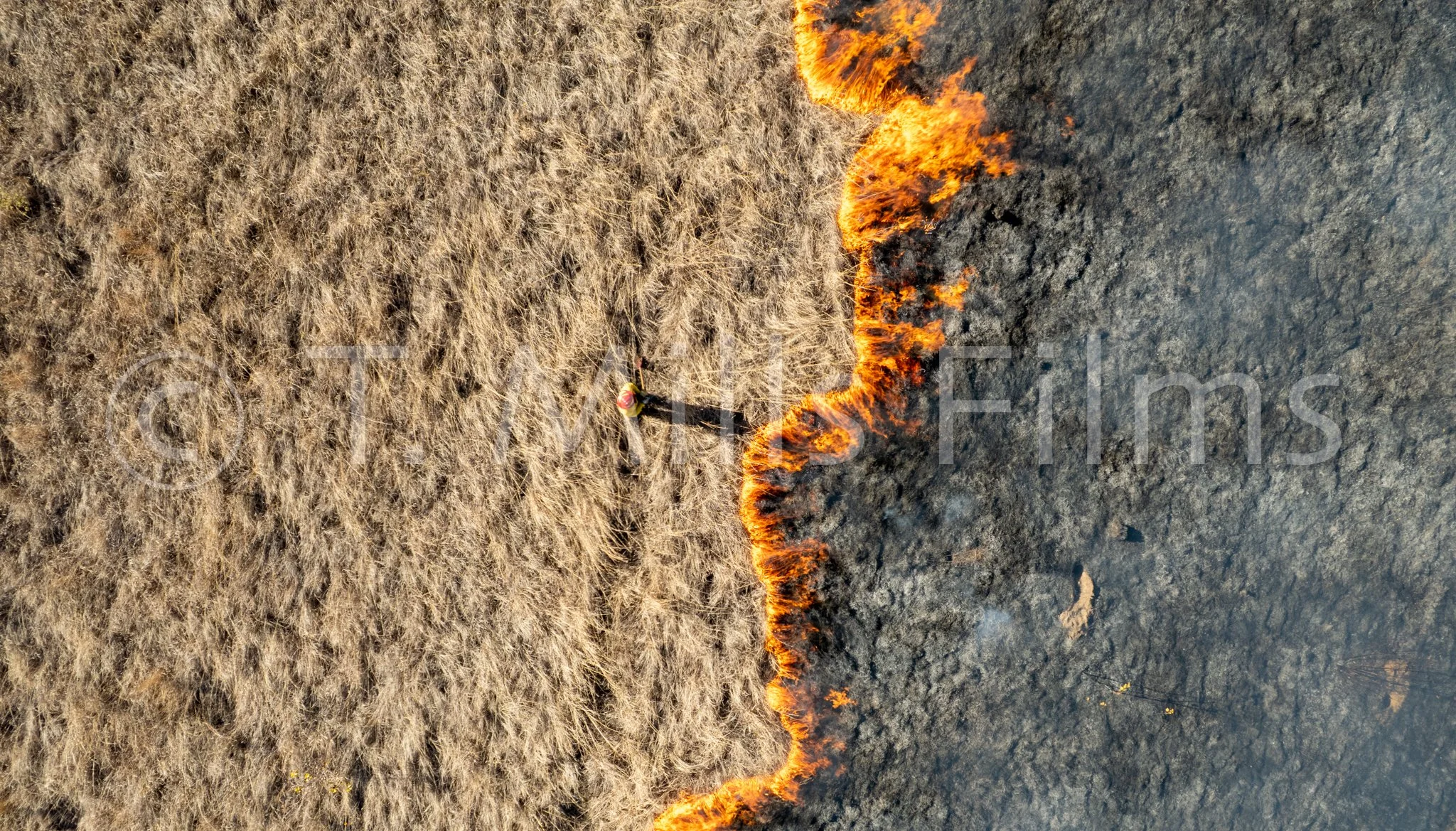 DJI_0994-2.jpg