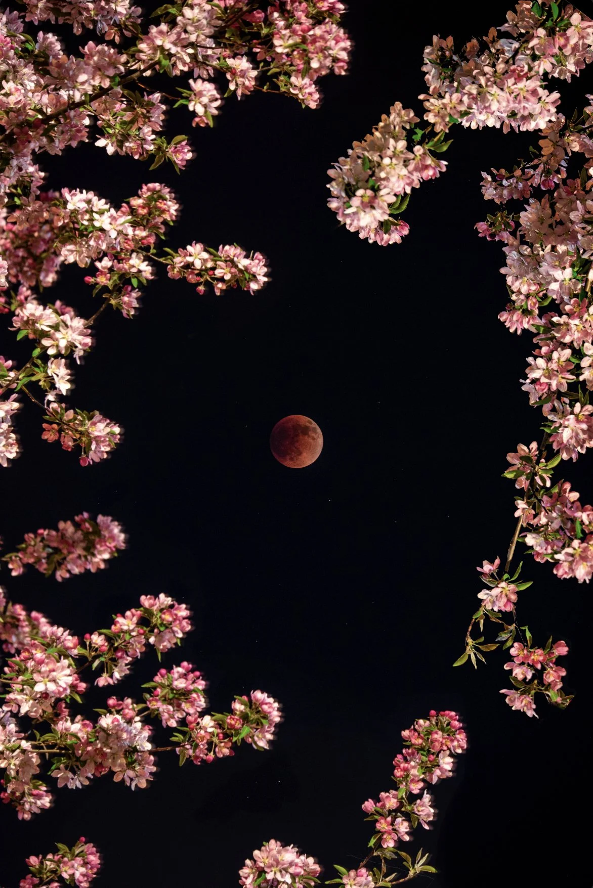 Our Beautiful World - Prints
