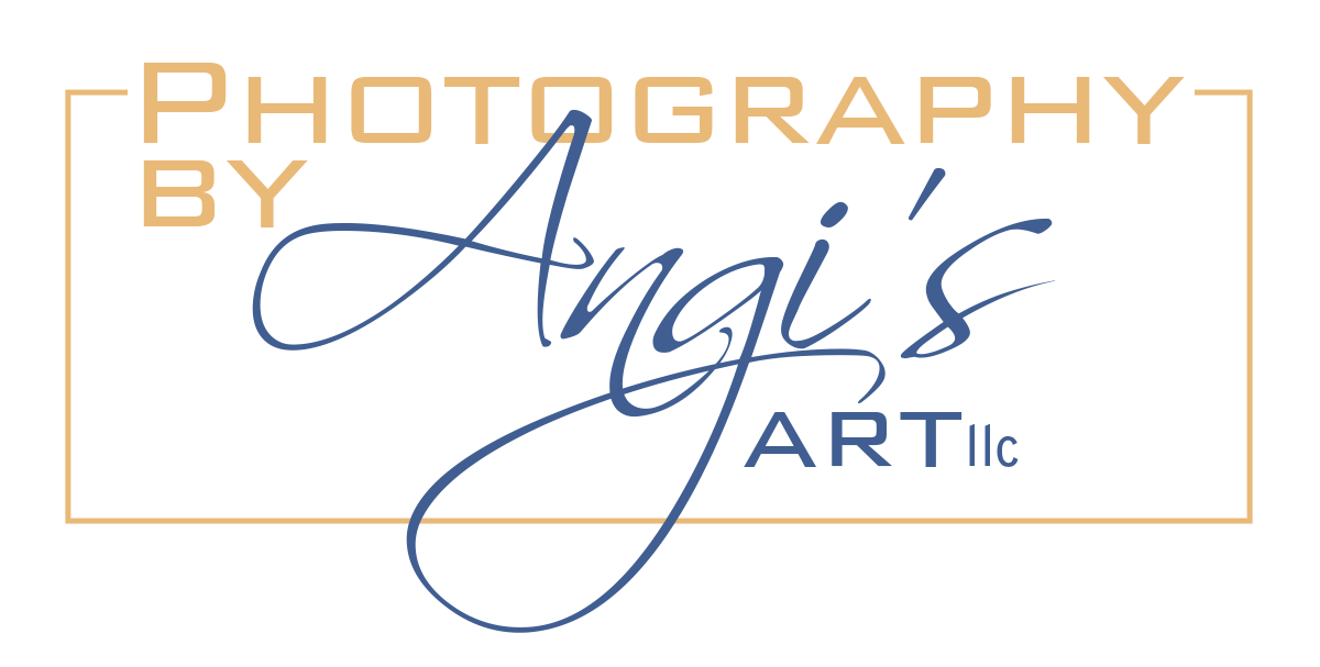 Angi's Art llc