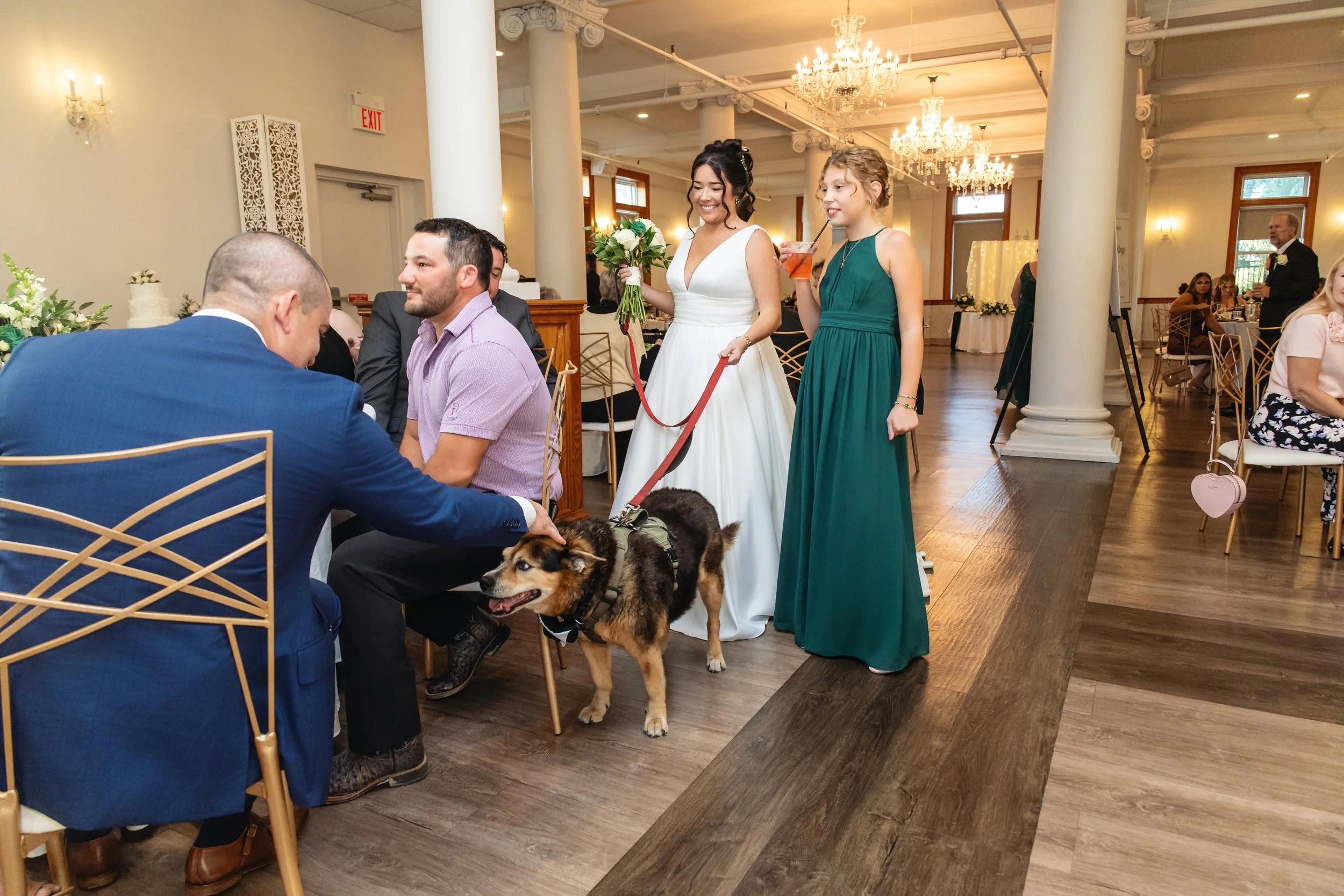 A wedding reception with women in formal dresses, men in suits, a dog, and guests dining and socializing in a decorated hall with chandeliers.