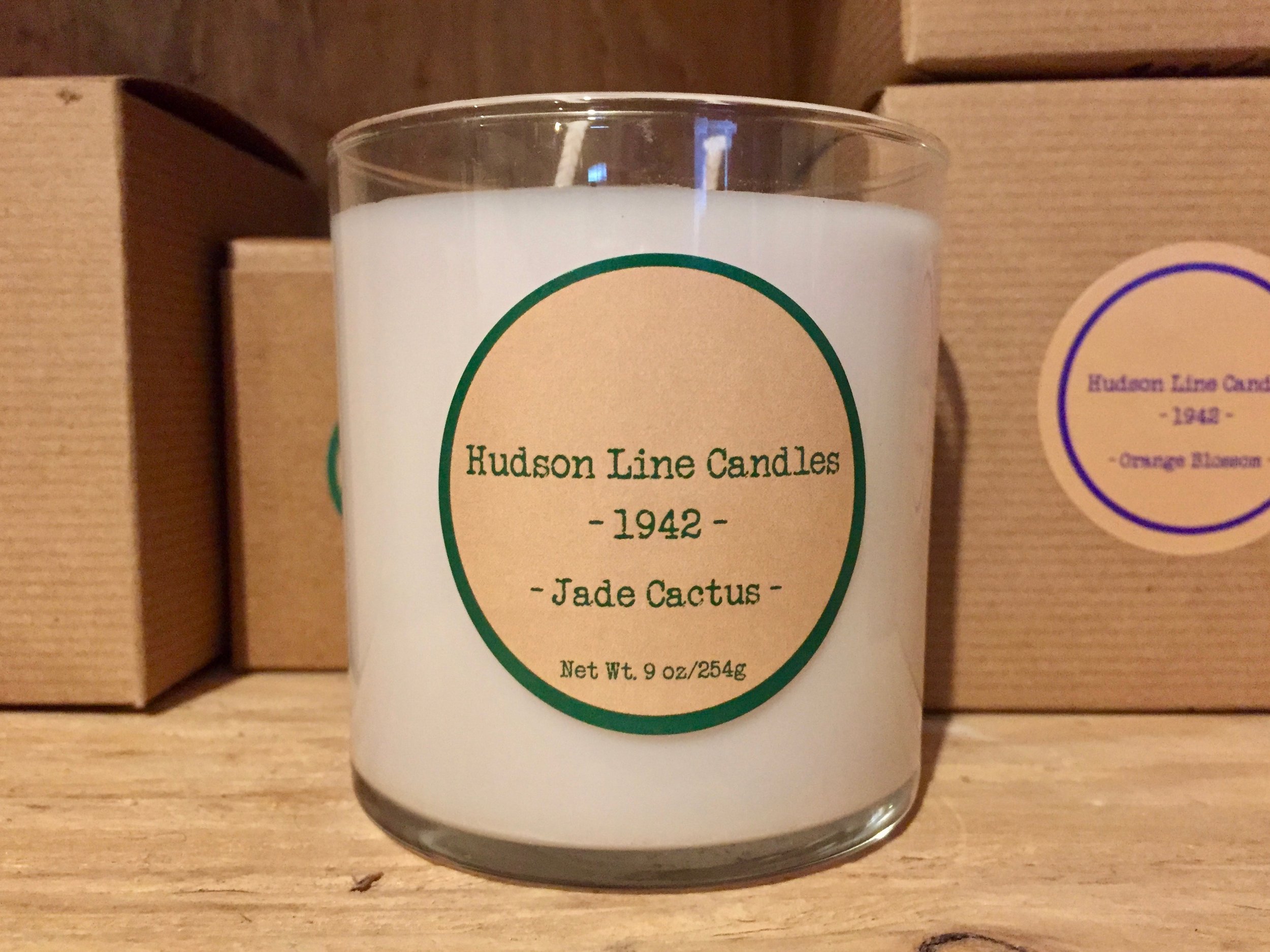 Jade Cactus - 9 oz.jpeg