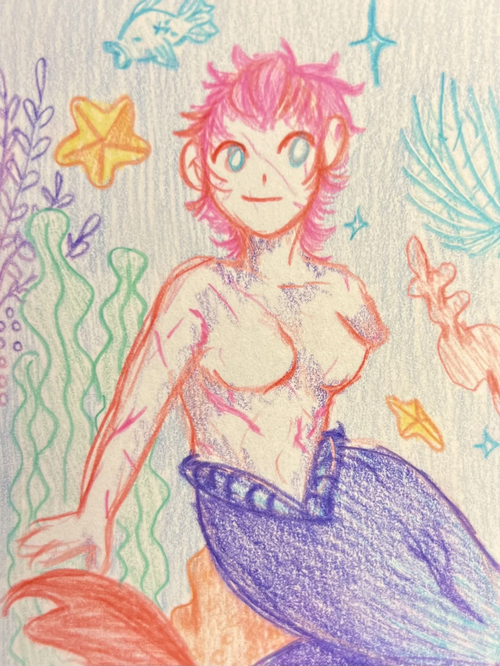mermaider