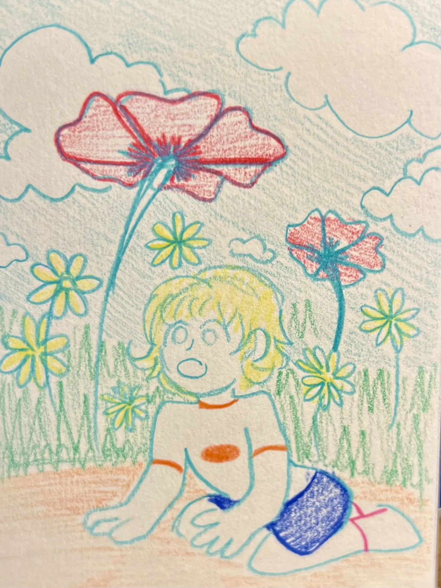 poppy