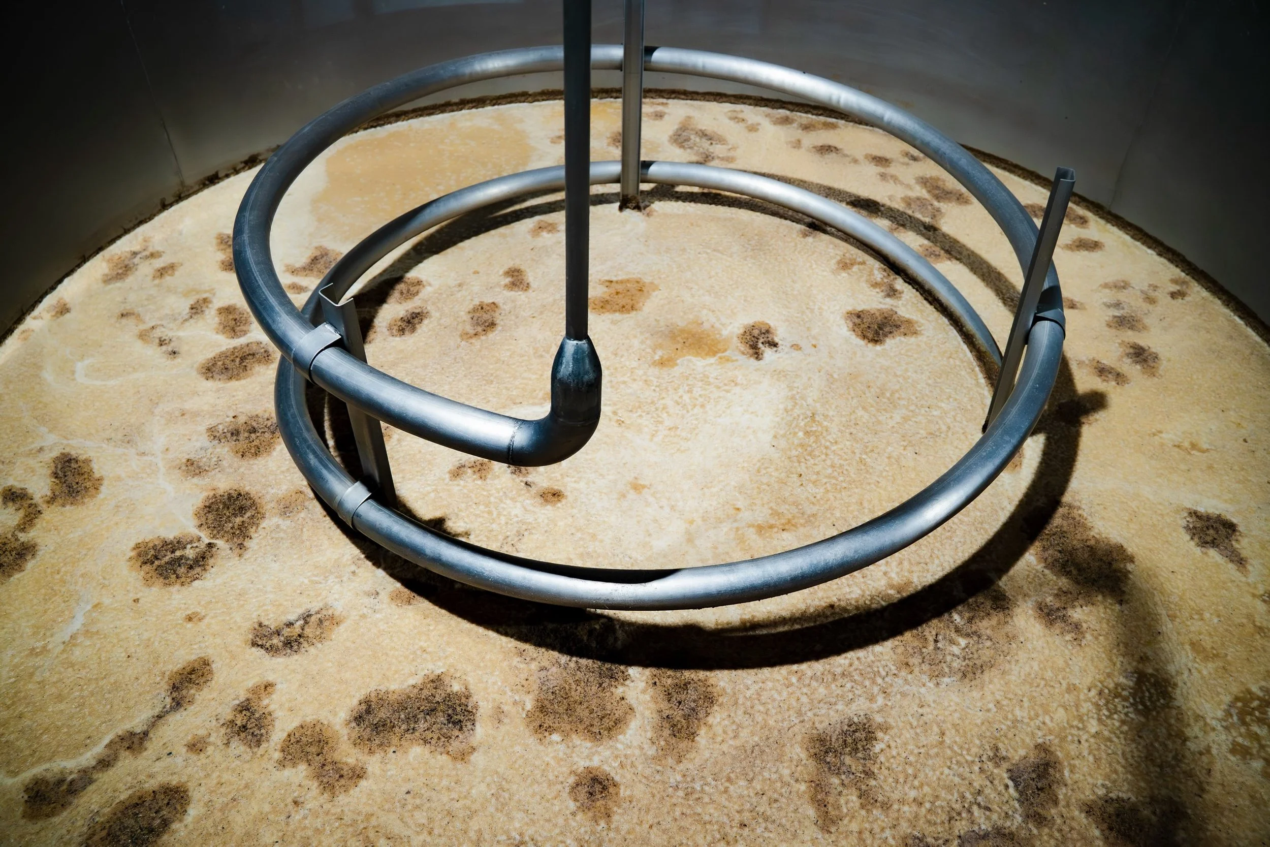 Fermentation 

After cooking and milling, the agave juices move into fermentation.

This is where yeast converts the natural sugars into alcohol and begins shaping the aromas and flavors of the tequila.

Citrus. Minerality. Pepper. Character.

Intent