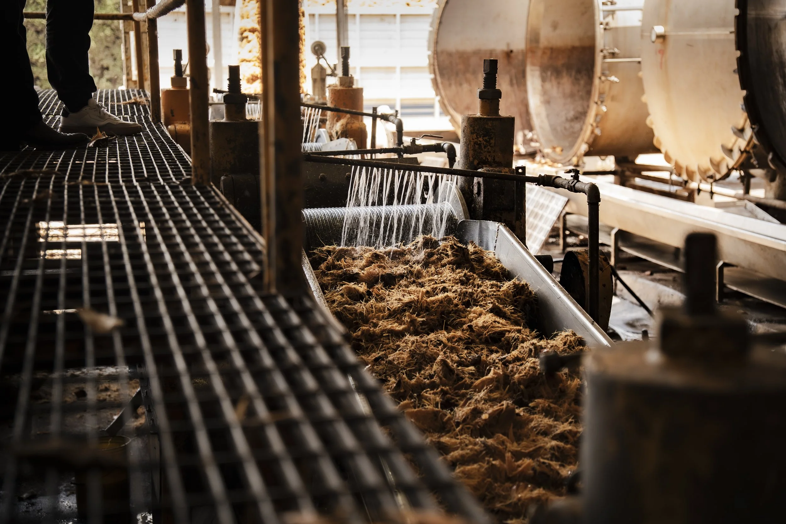 Industrial machinery processing fibrous material in a factory setting, with metal grates and pipes.