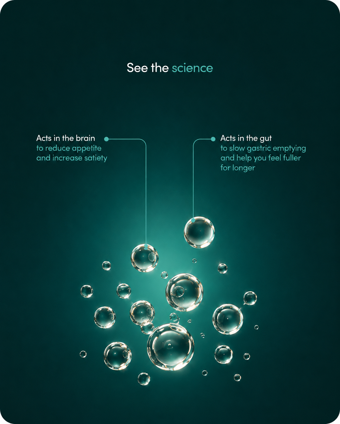An infographic with the title 'See the science' showing two scientific concepts: one acting in the brain to reduce appetite and increase satiety, and another acting in the gut to slow gastric emptying and make you feel fuller longer, accompanied by illustrations of water bubbles.