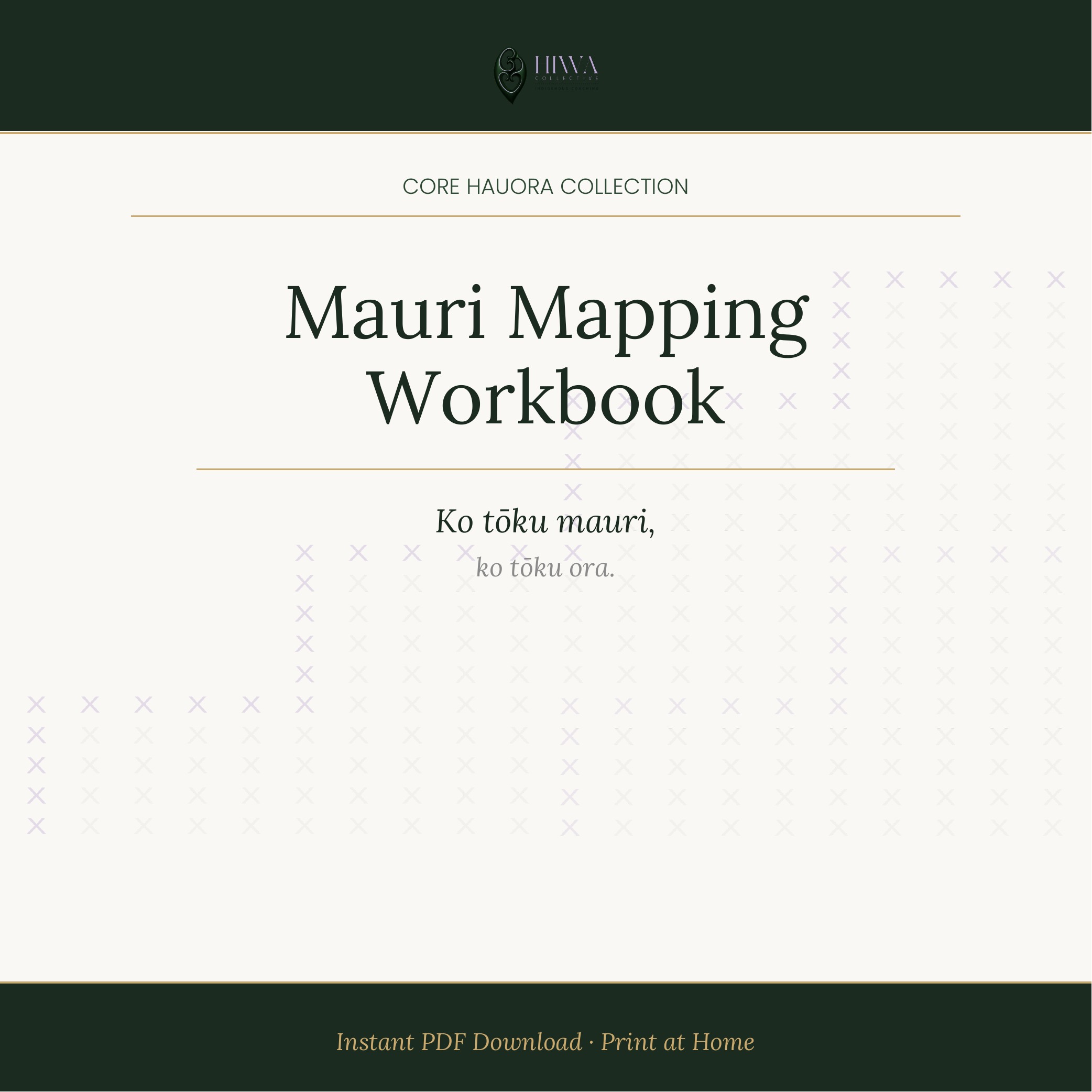 thumbnail-mauri-mapping-workbook.png