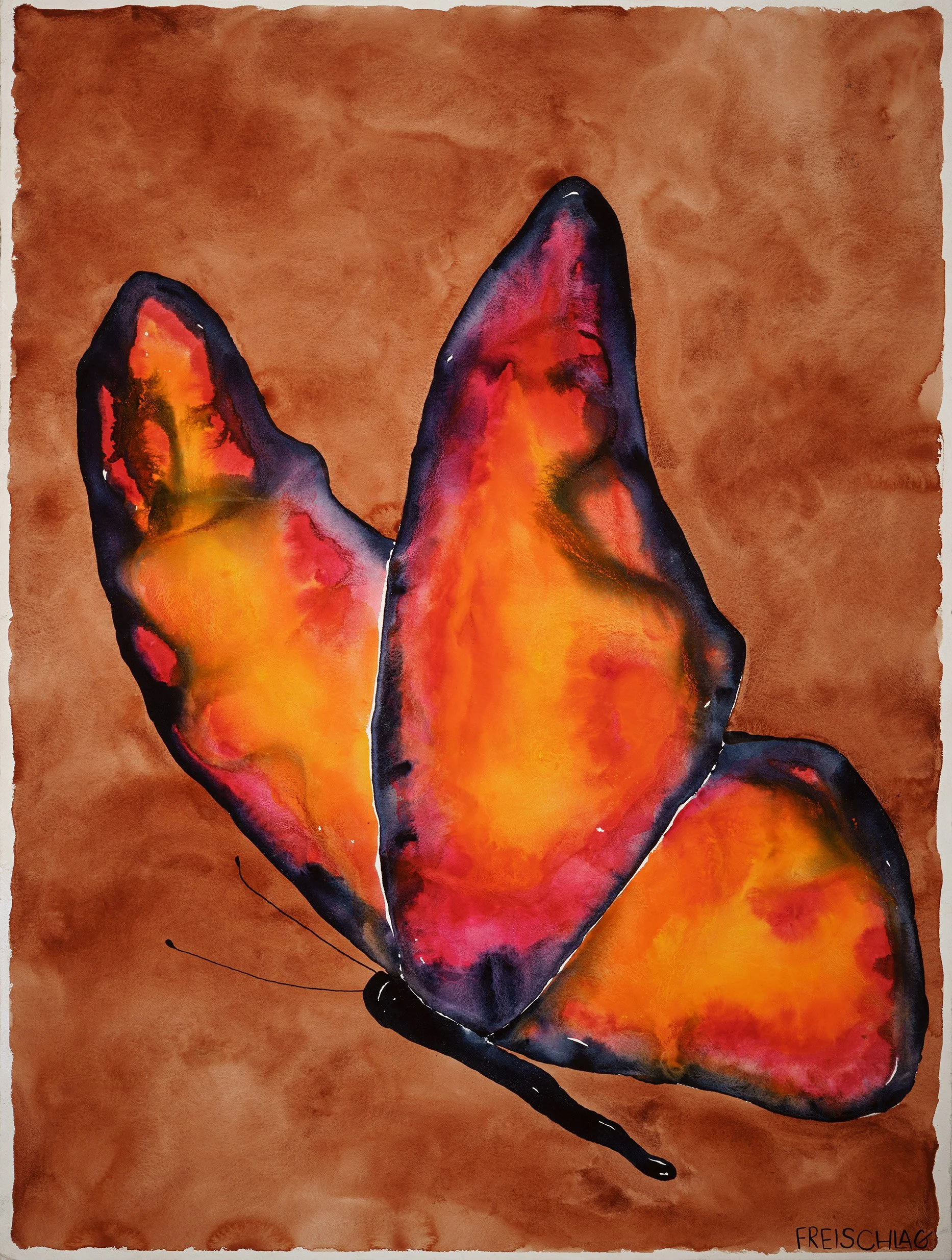 A Butterfly's Colors 48x36