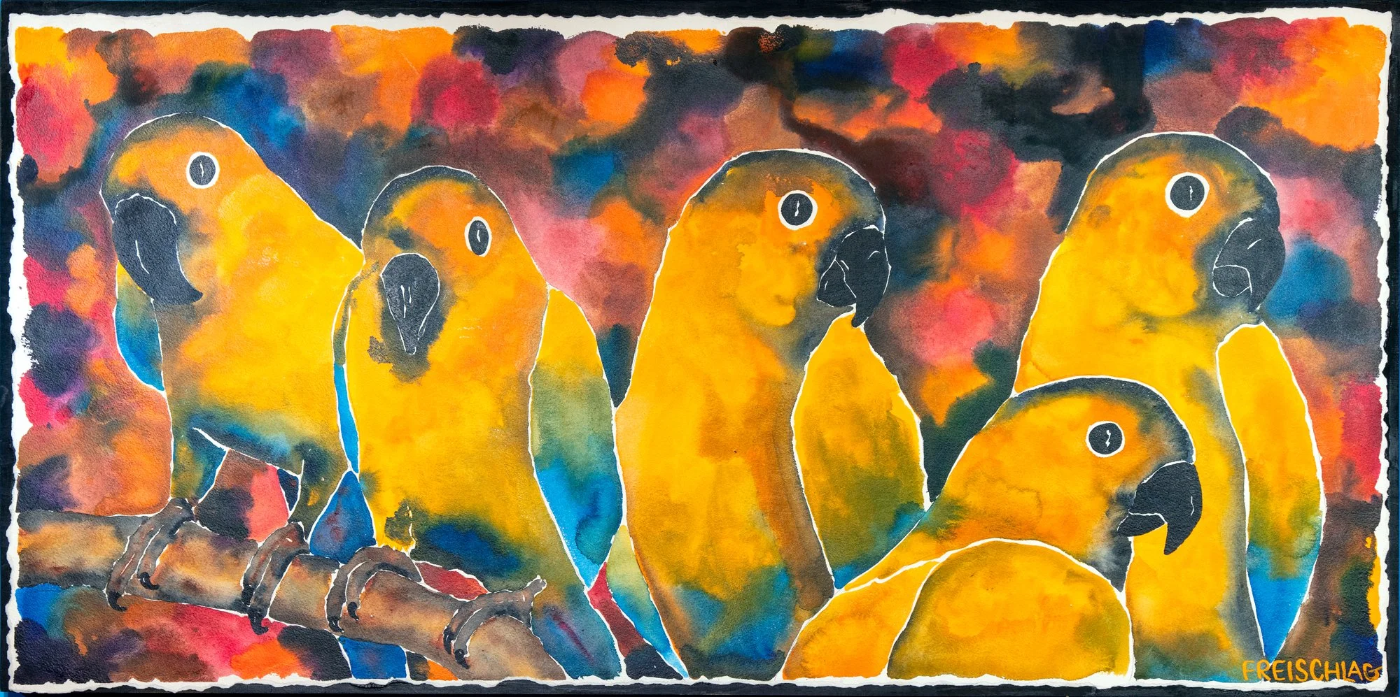 Curious Company 24x48