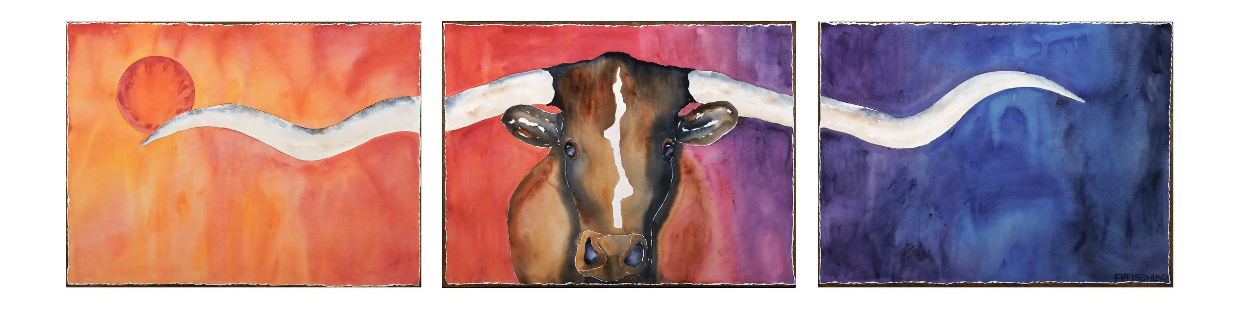 A Steer's Color 30x120