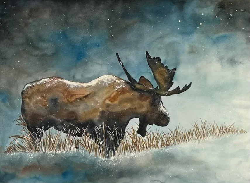 A Winter's Moose 36x48