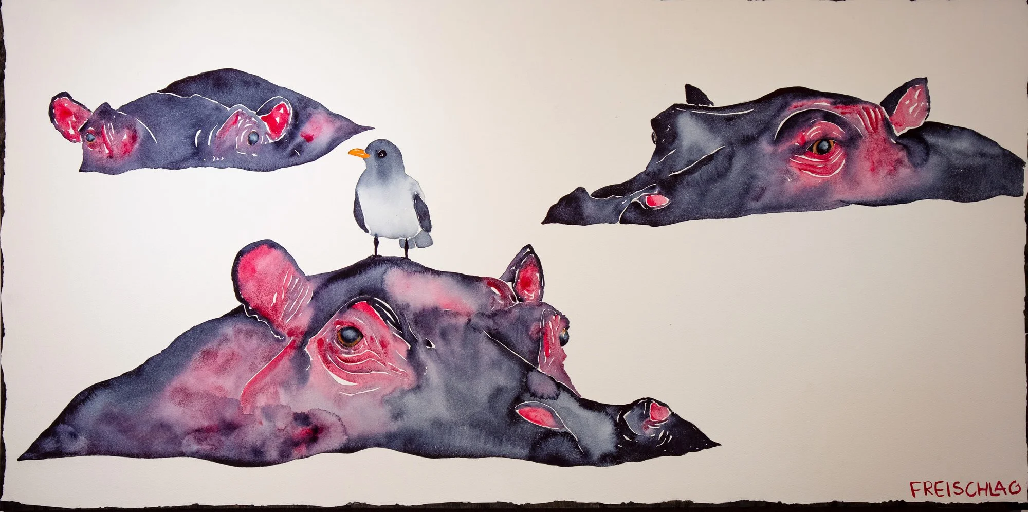 Upon a Hippo's Head 24x48
