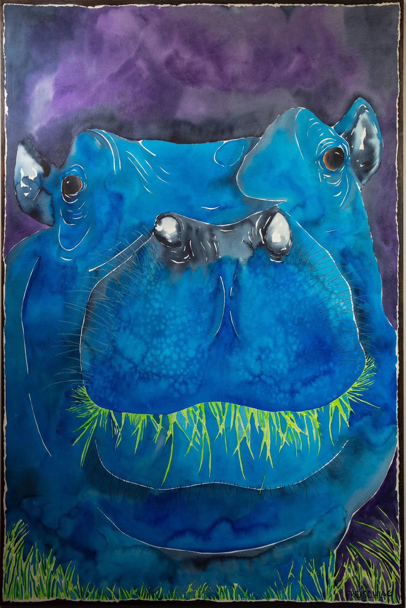 About a Hippo's Smile 60x40