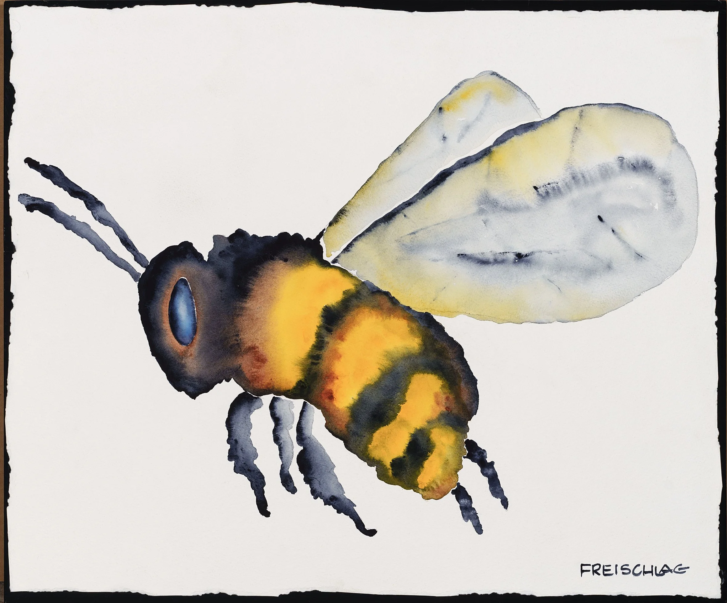 Bumble 20x24