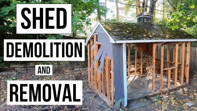 Shed Removal