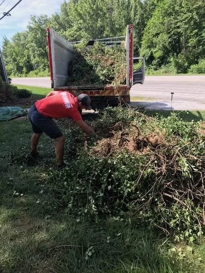 Yard Waste Removal